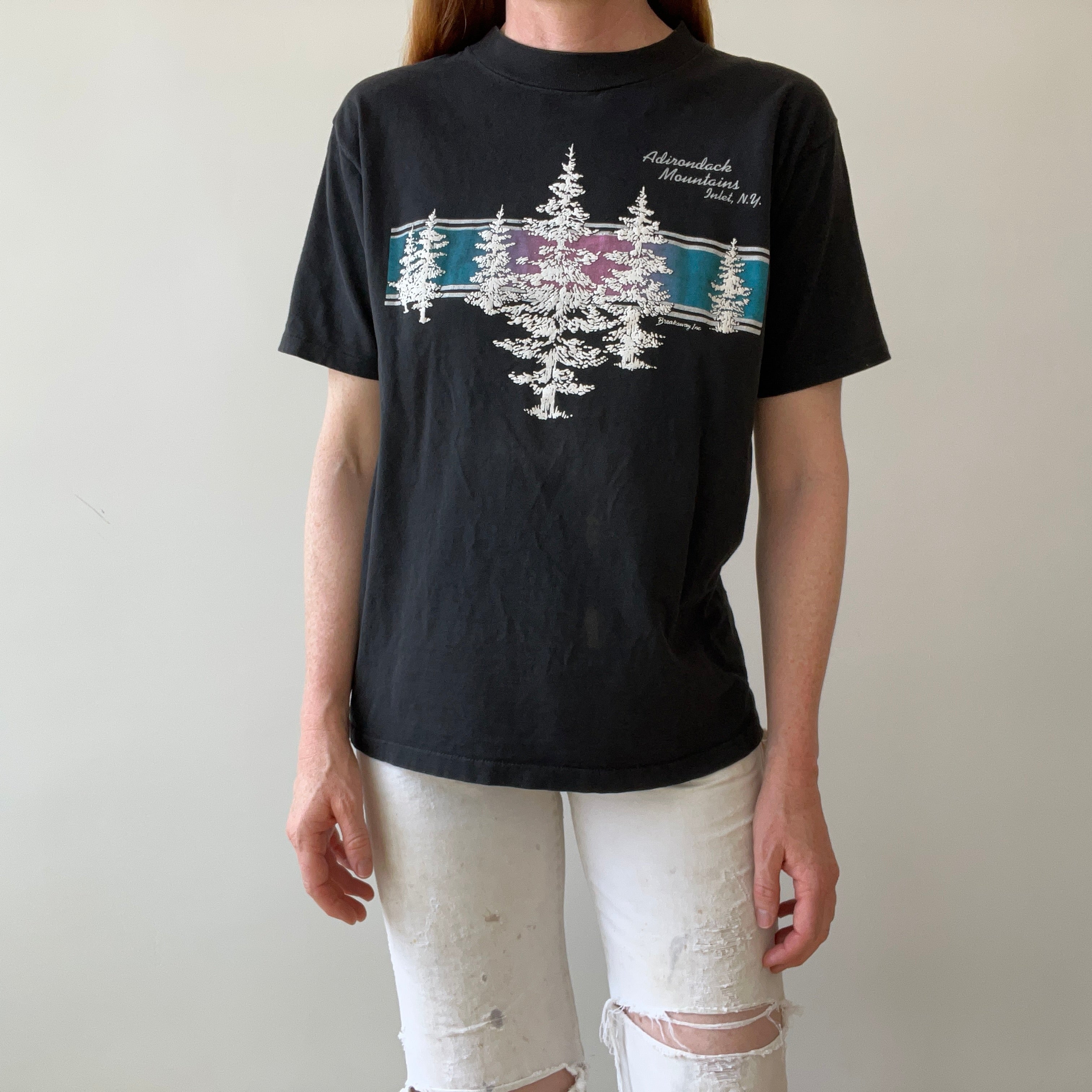 1980/1990s Adirondack Mountains N.Y. T-Shirt