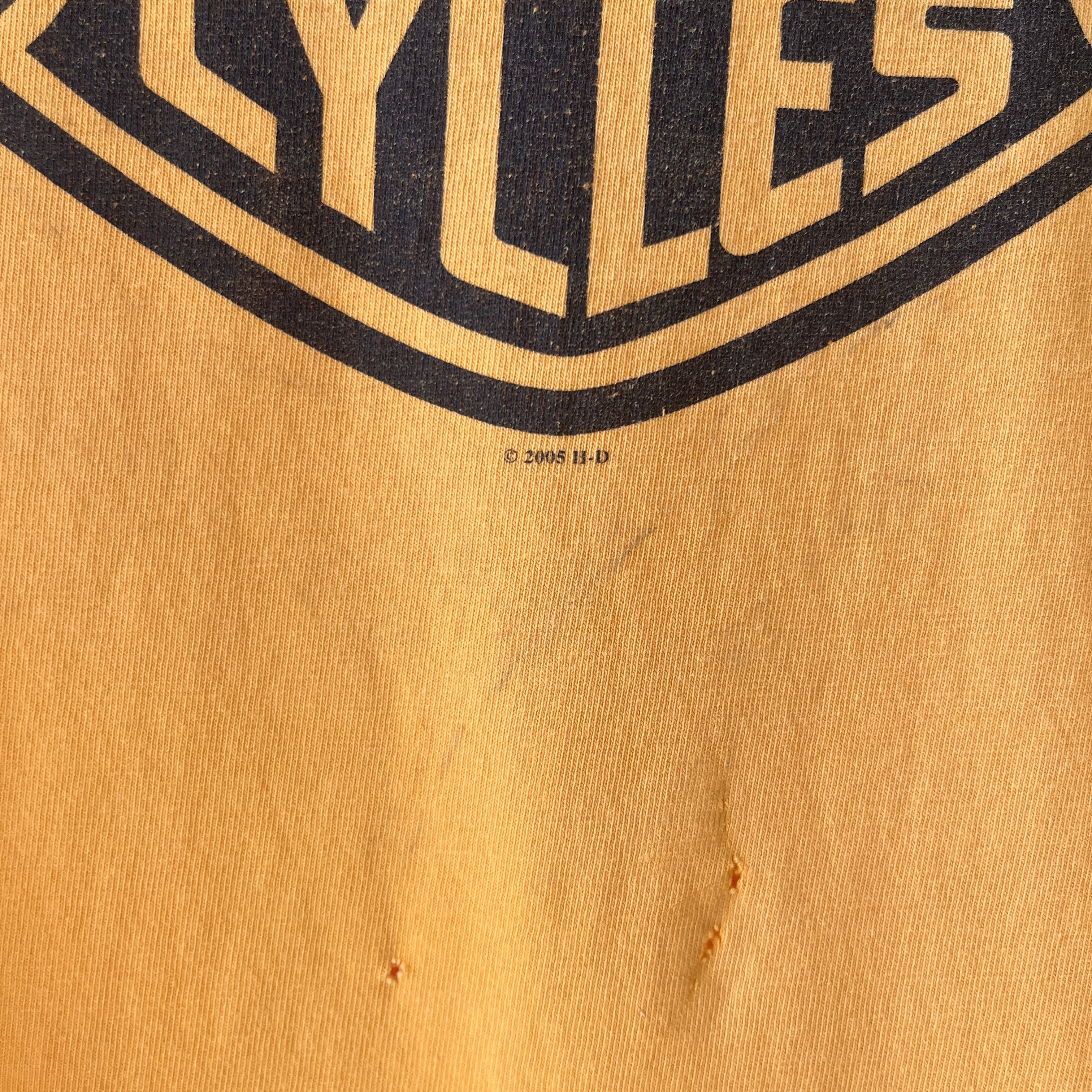 2005 Harley Davidson Cut Off Muscle Shirt - Thrashed with a Backside
