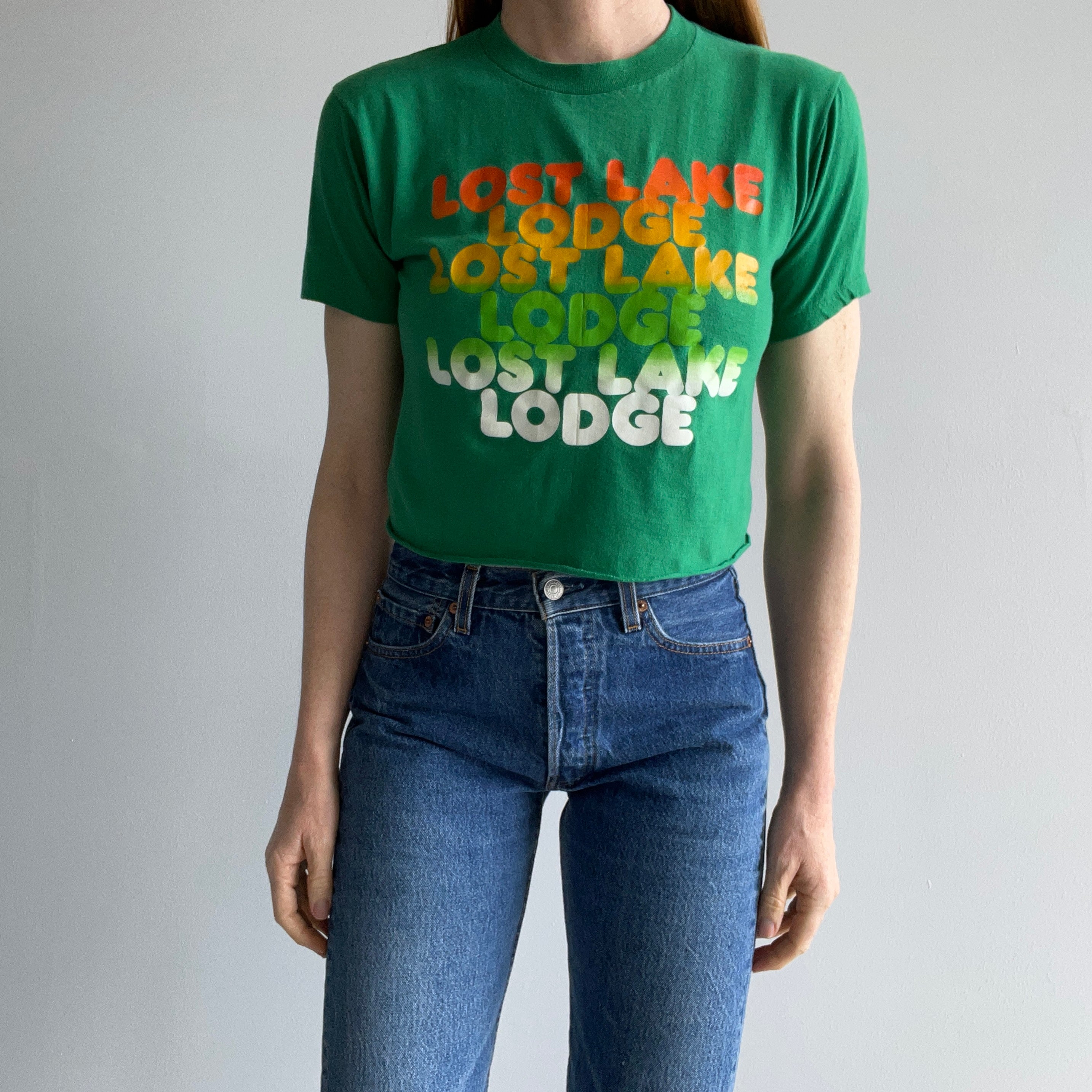 1980s Lost Lake Lodge DIY Crop Top