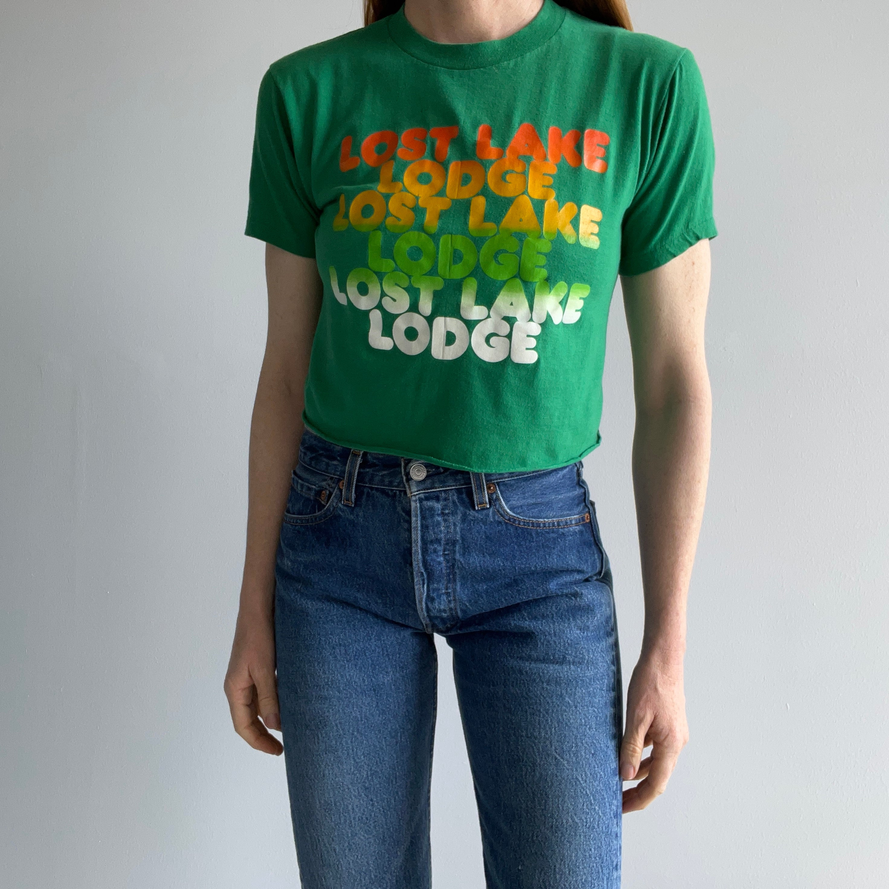 1980s Lost Lake Lodge DIY Crop Top