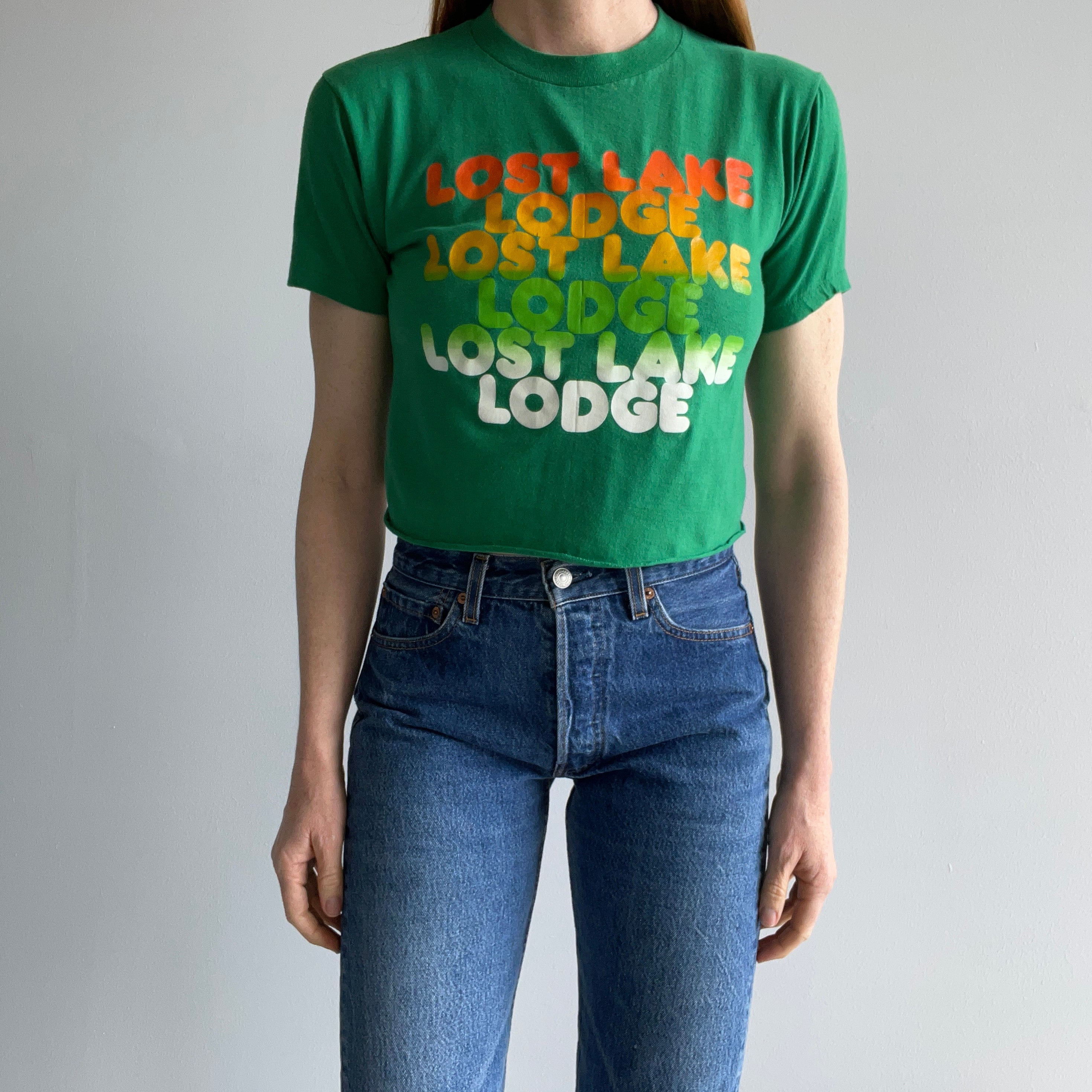 1980s Lost Lake Lodge DIY Crop Top