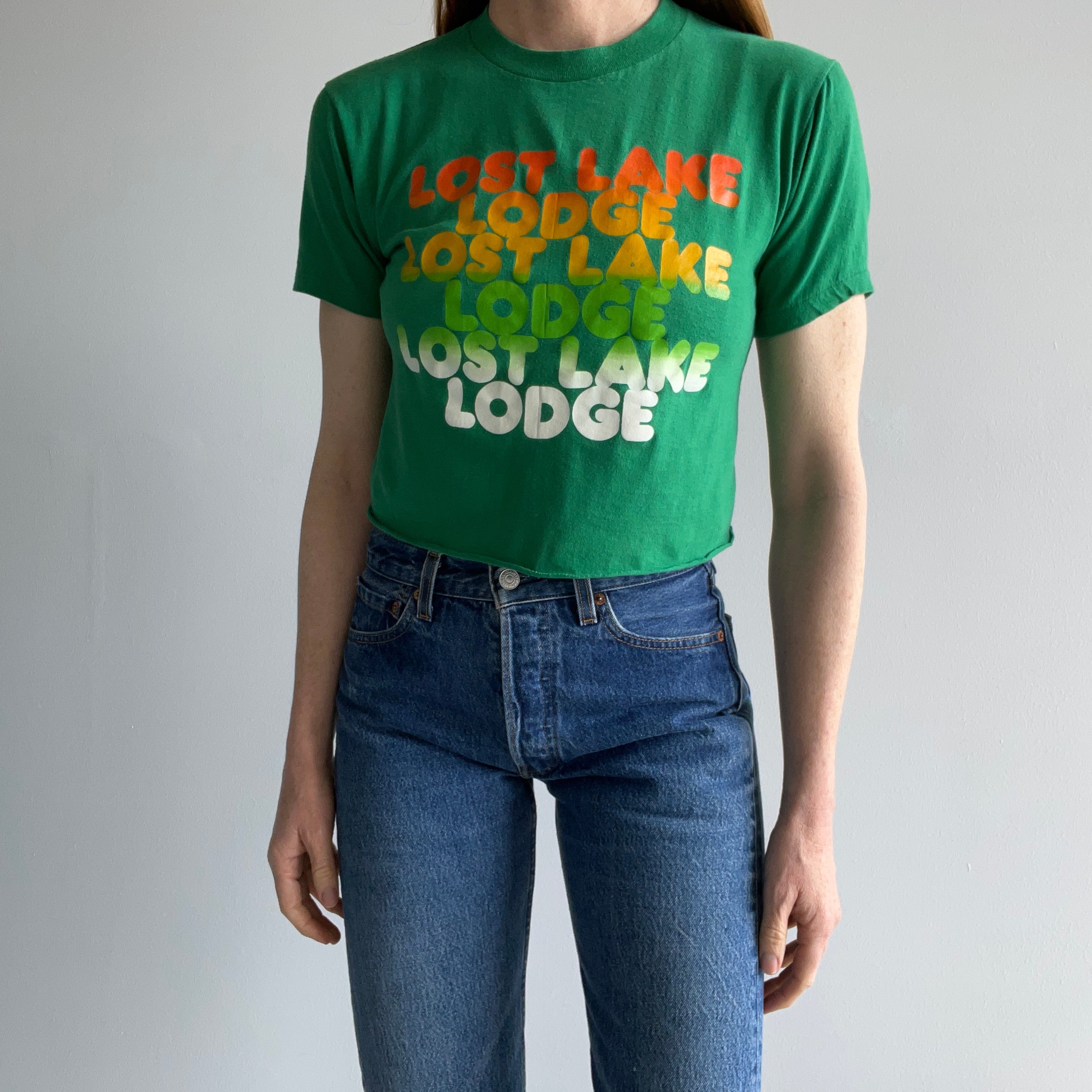 1980s Lost Lake Lodge DIY Crop Top