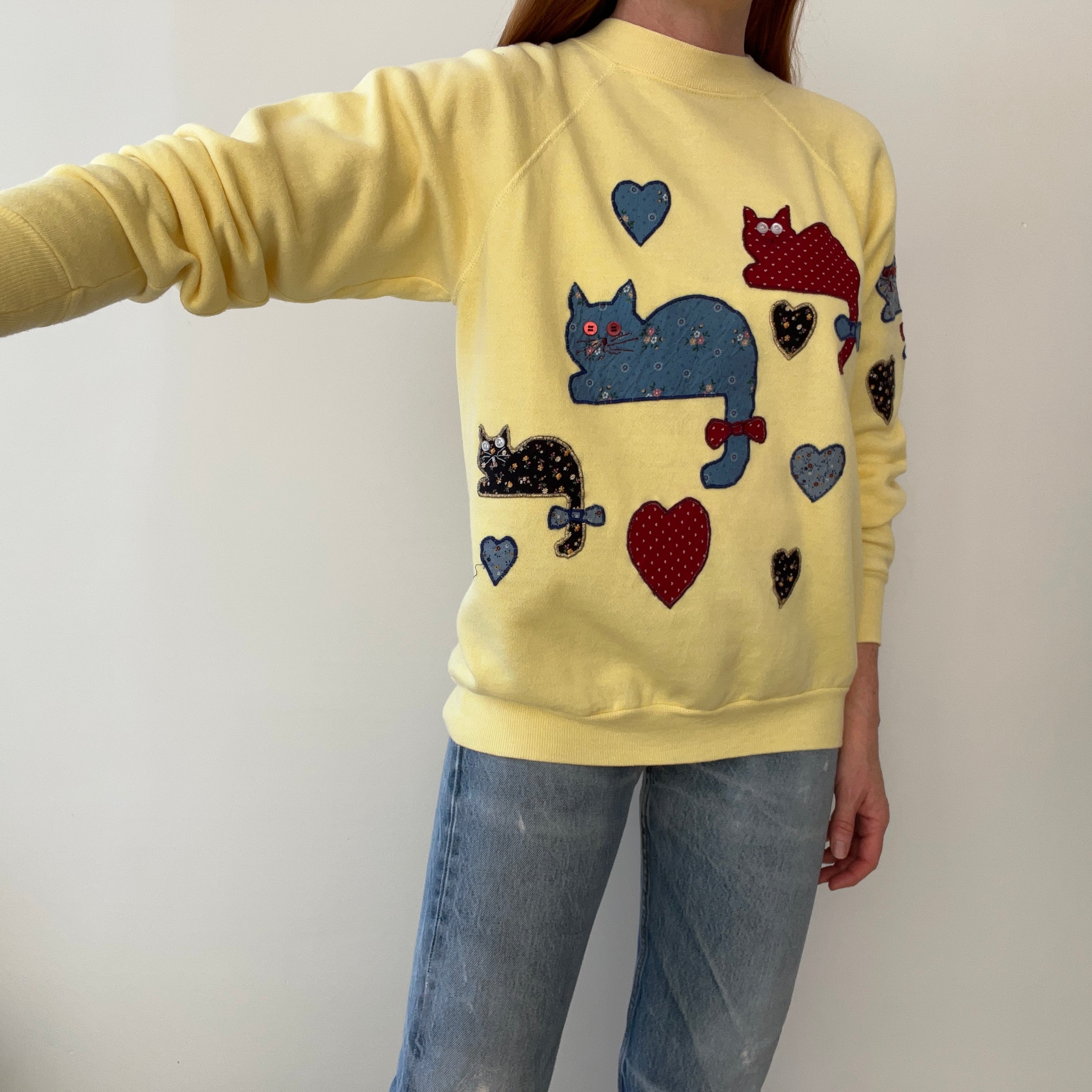 1980s DIY Most Amazing CAT Lady or Gentleman Sweatshirt