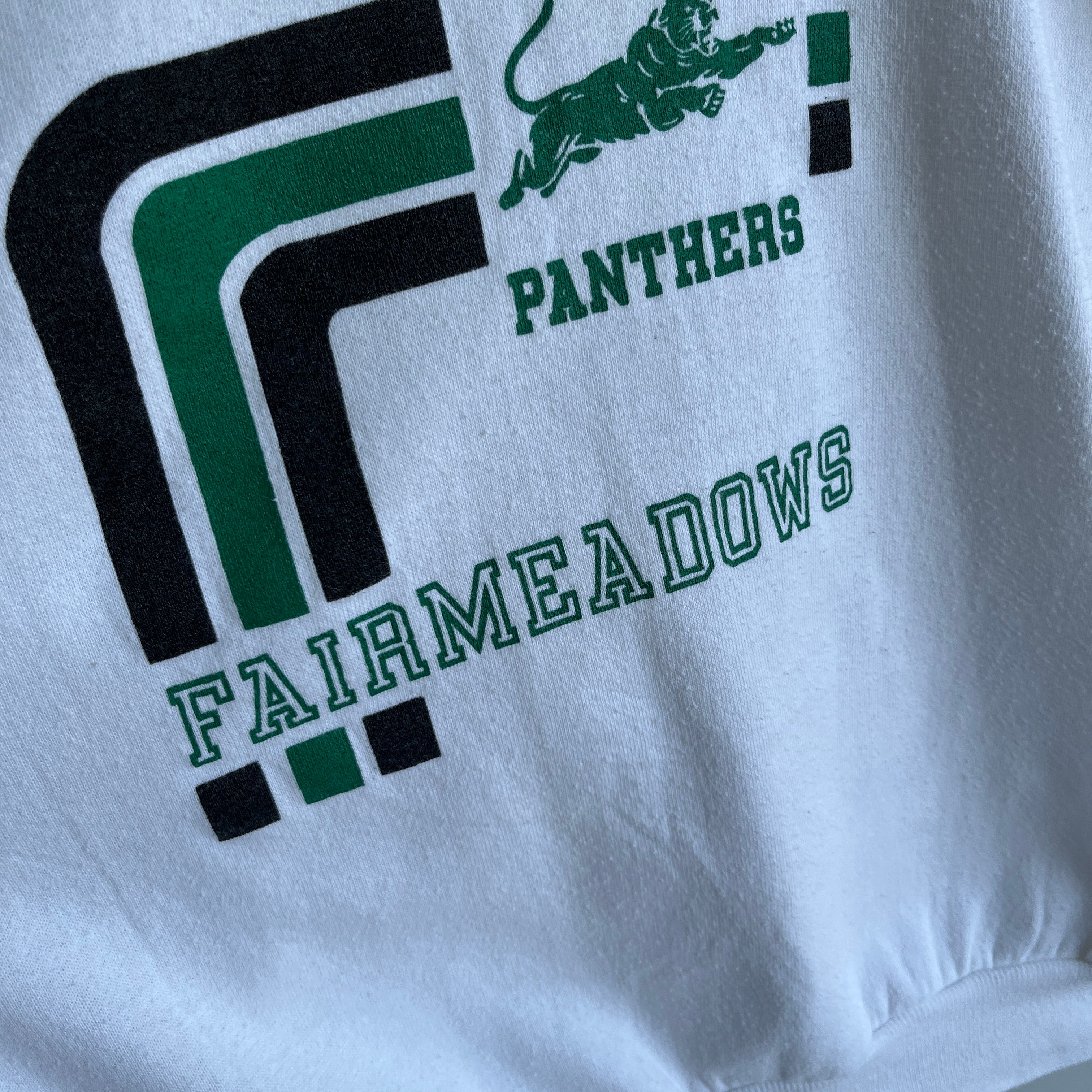 1970s Fairmeadows Panthers Sweatshirt