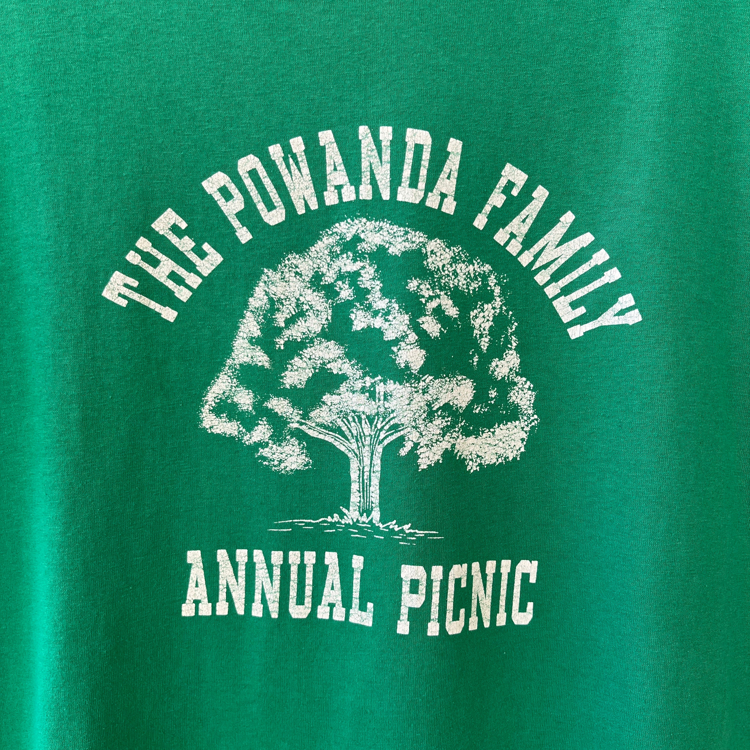1980s The Powanda Family Picnic Green T Shirt