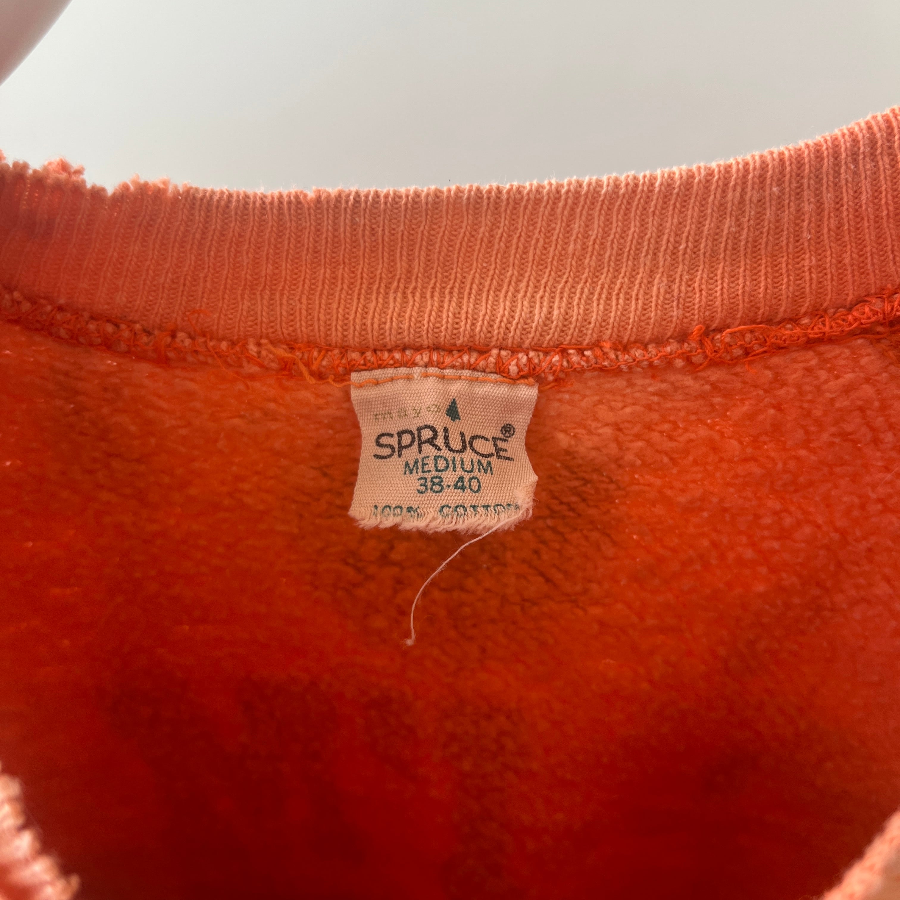 RAFFLE: PLEASE SEE NOTES BEFORE PURCHASING 1969 Mayo Spruce Lucy Sweatshirt