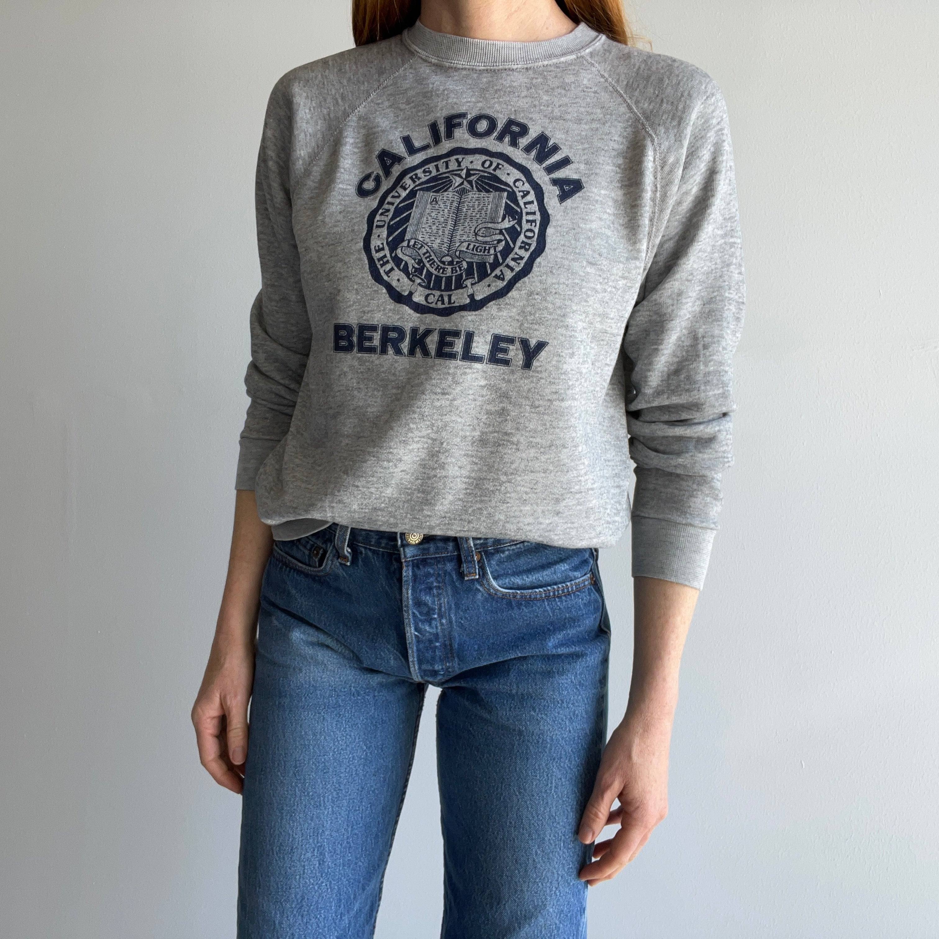 1980s UC Berkley Thinned Out Sweatshirt