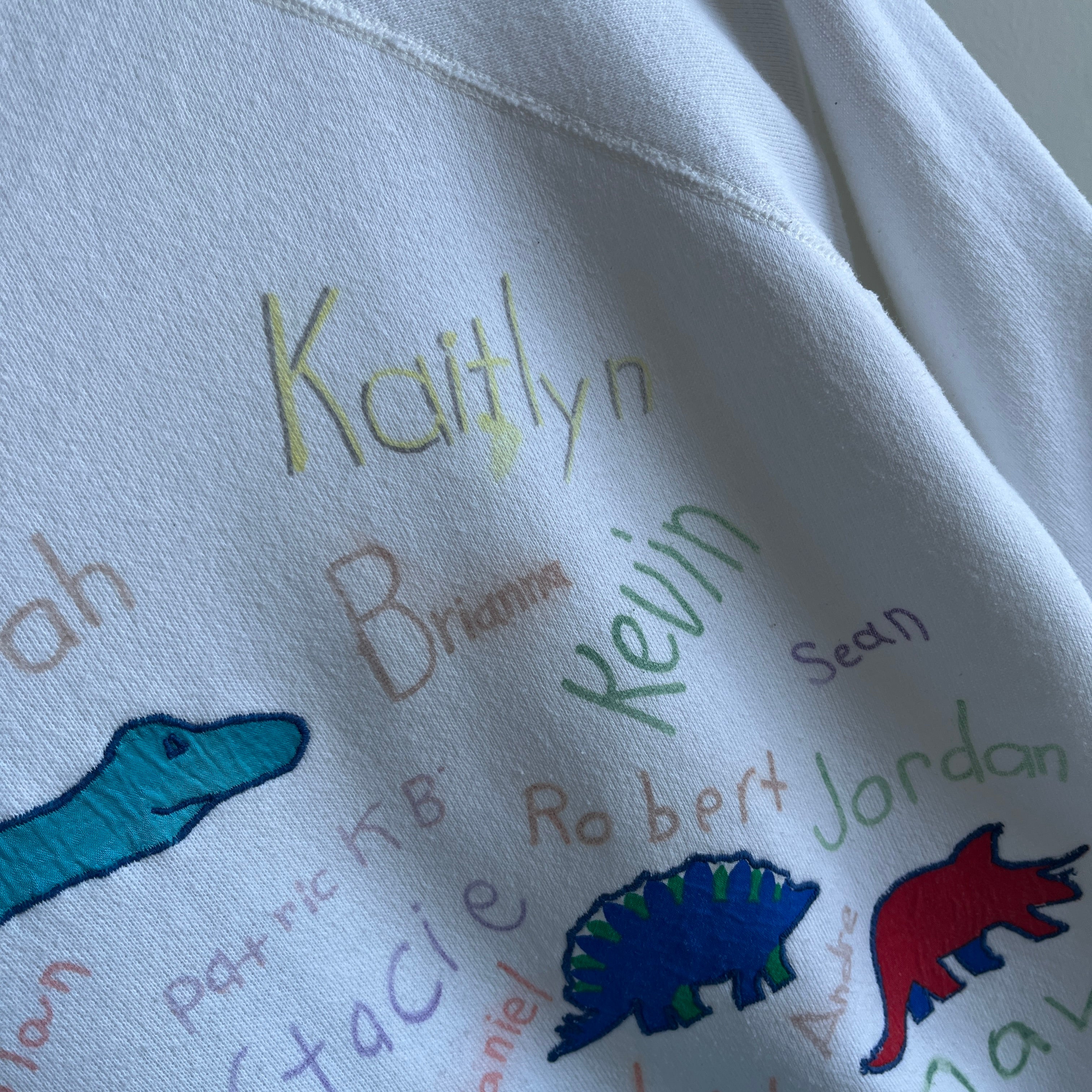 1980s Dinosaur with 80s Names DIY Sweatshirt on a Pannill