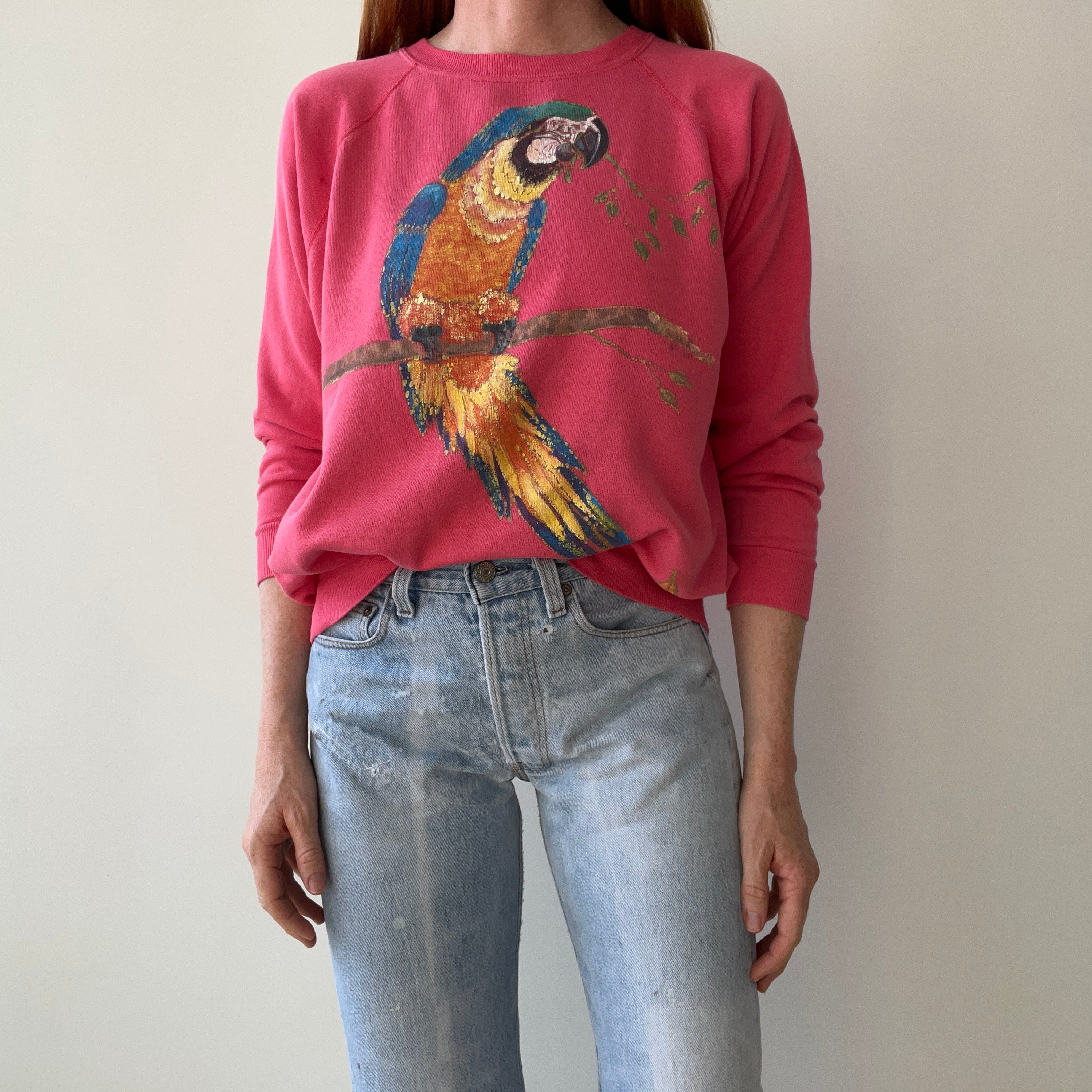 1980s Hand Painted by Tea Tea - Parrot DIY Sweatshirt on a Reeve Brand Raglan - THIS