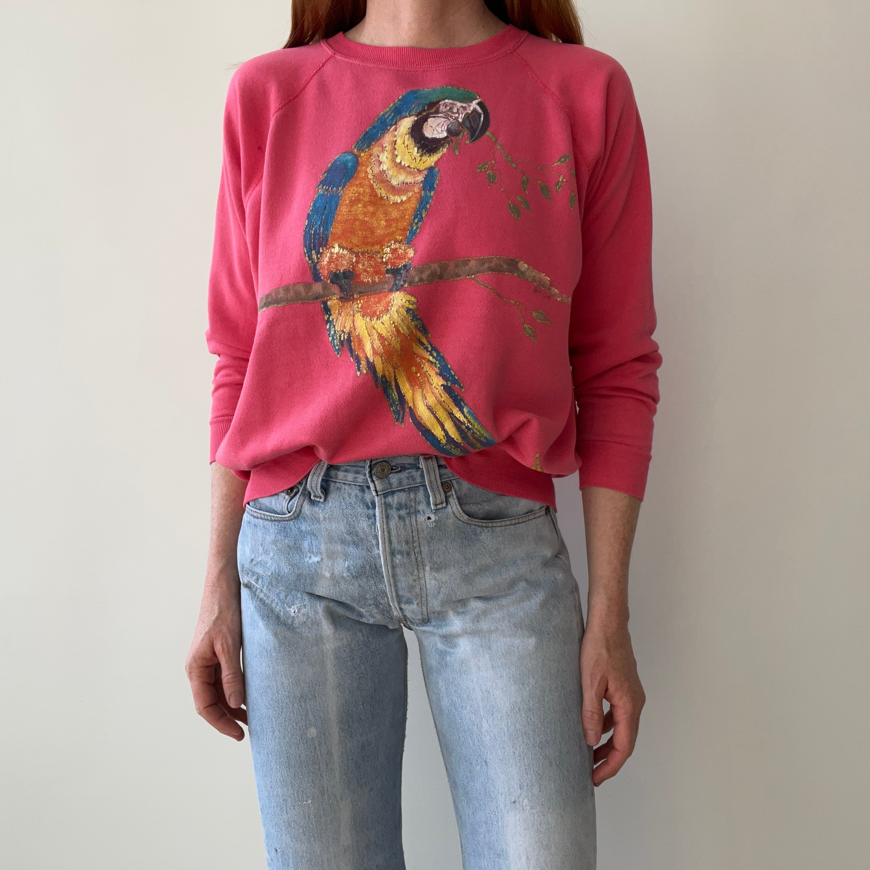 1980s Hand Painted by Tea Tea - Parrot DIY Sweatshirt on a Reeve Brand Raglan - THIS