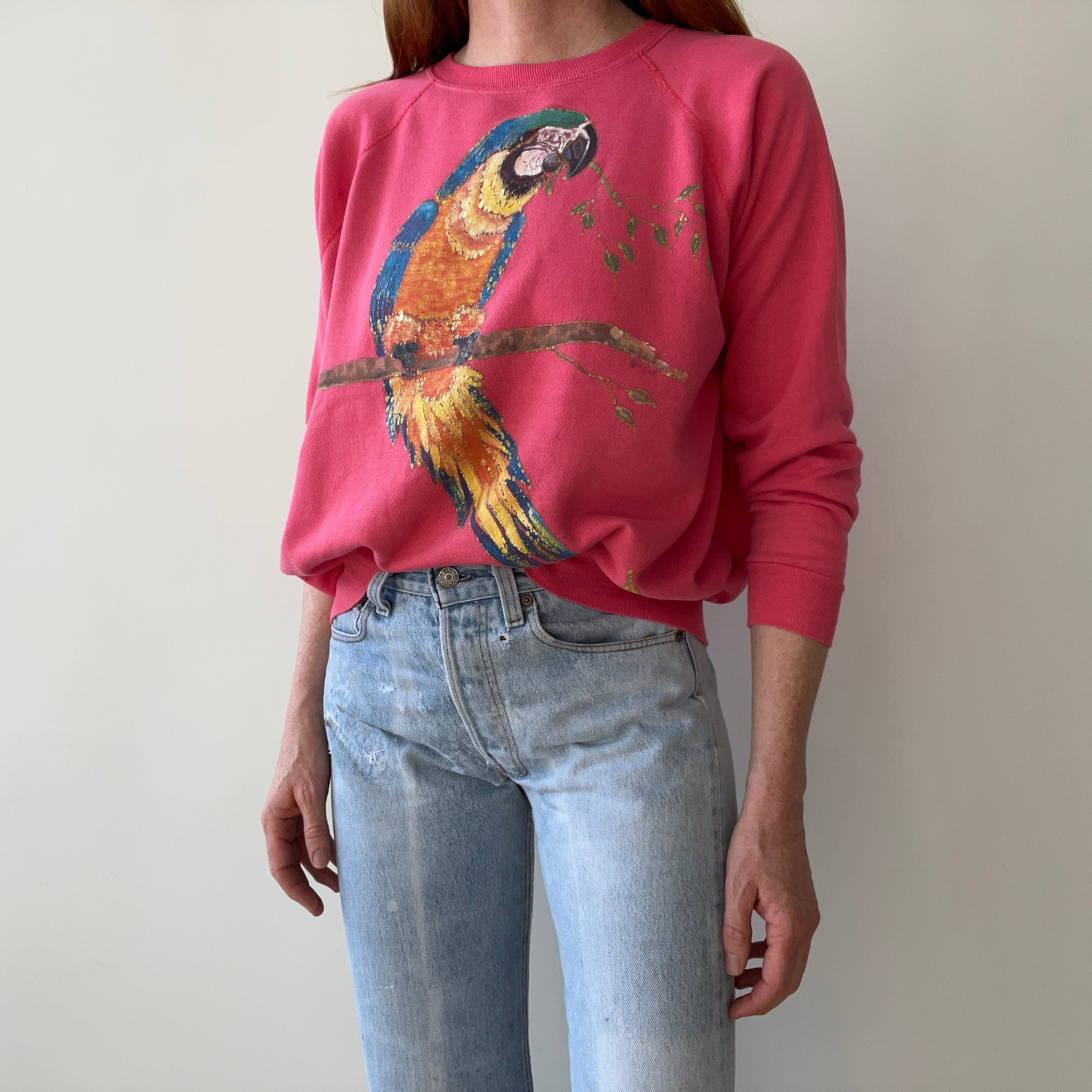 1980s Hand Painted by Tea Tea - Parrot DIY Sweatshirt on a Reeve Brand Raglan - THIS