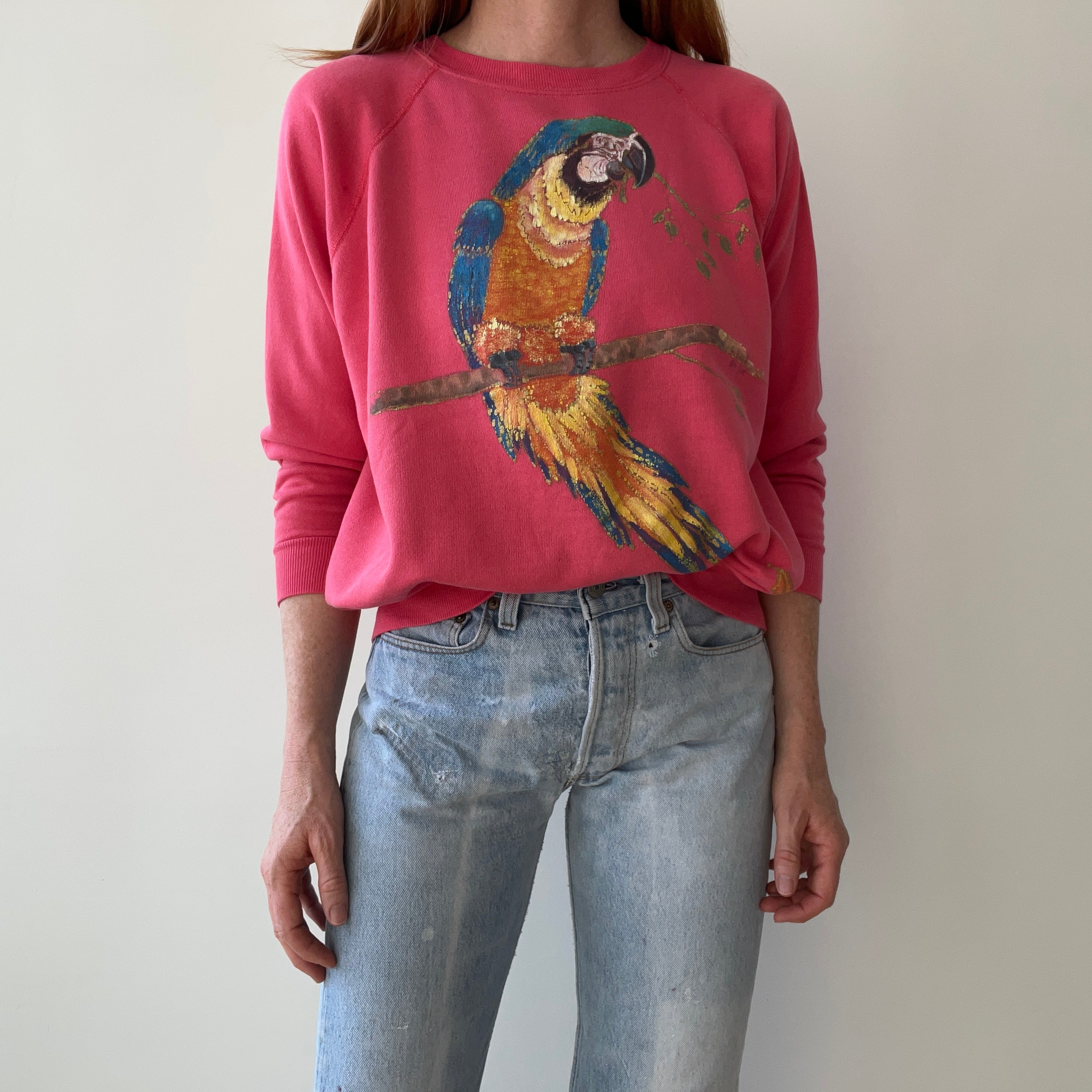 1980s Hand Painted by Tea Tea - Parrot DIY Sweatshirt on a Reeve Brand Raglan - THIS