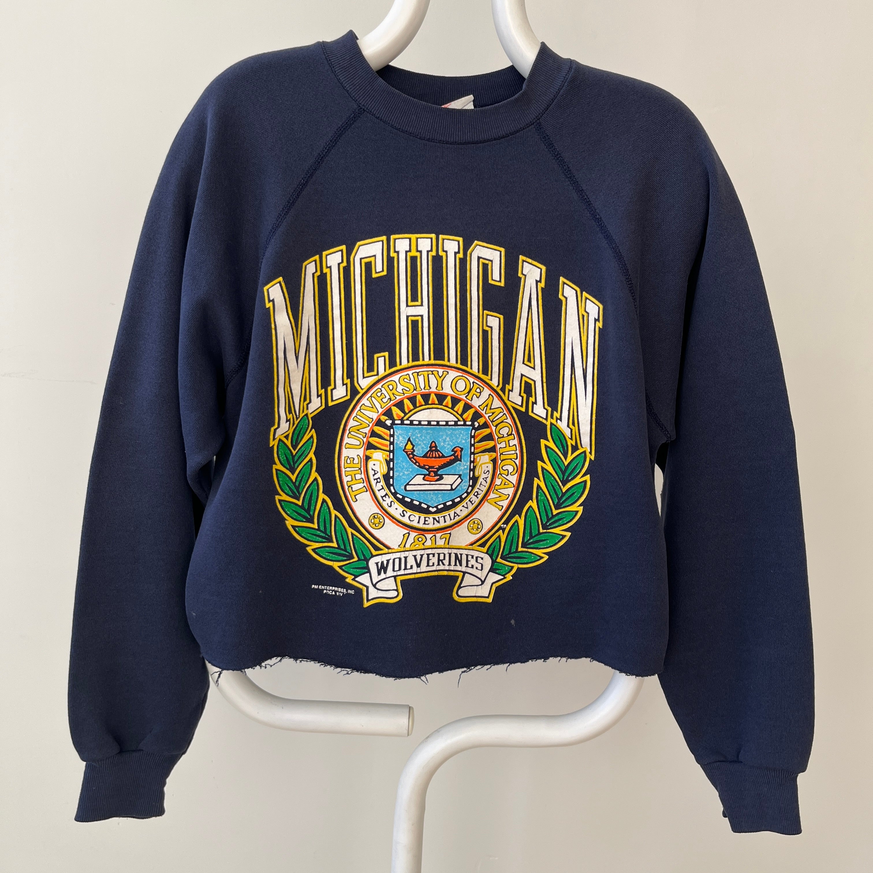 1980s/90s Michigan Wolverines DIY Cropped Raglan Sweatshirt