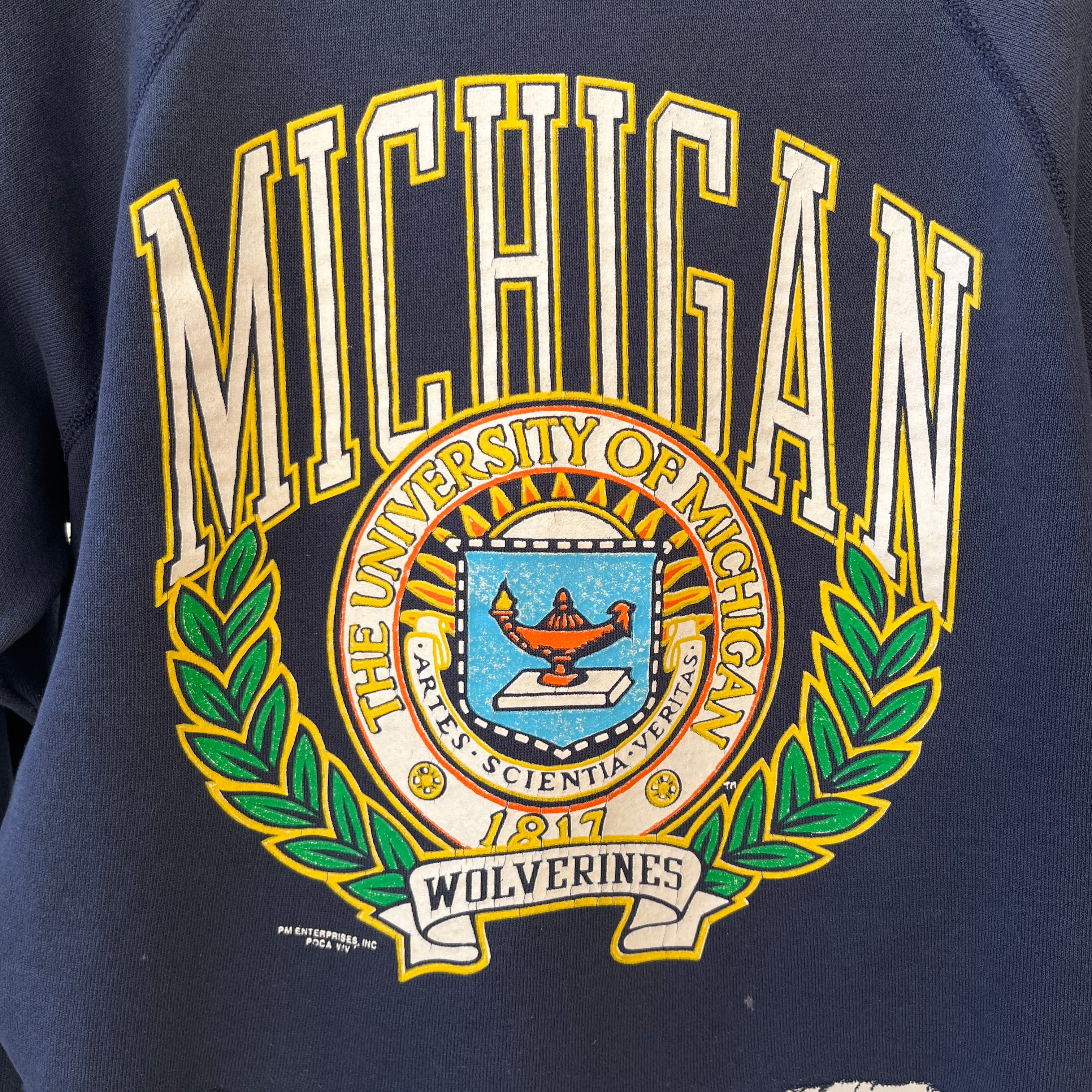 1980s/90s Michigan Wolverines DIY Cropped Raglan Sweatshirt