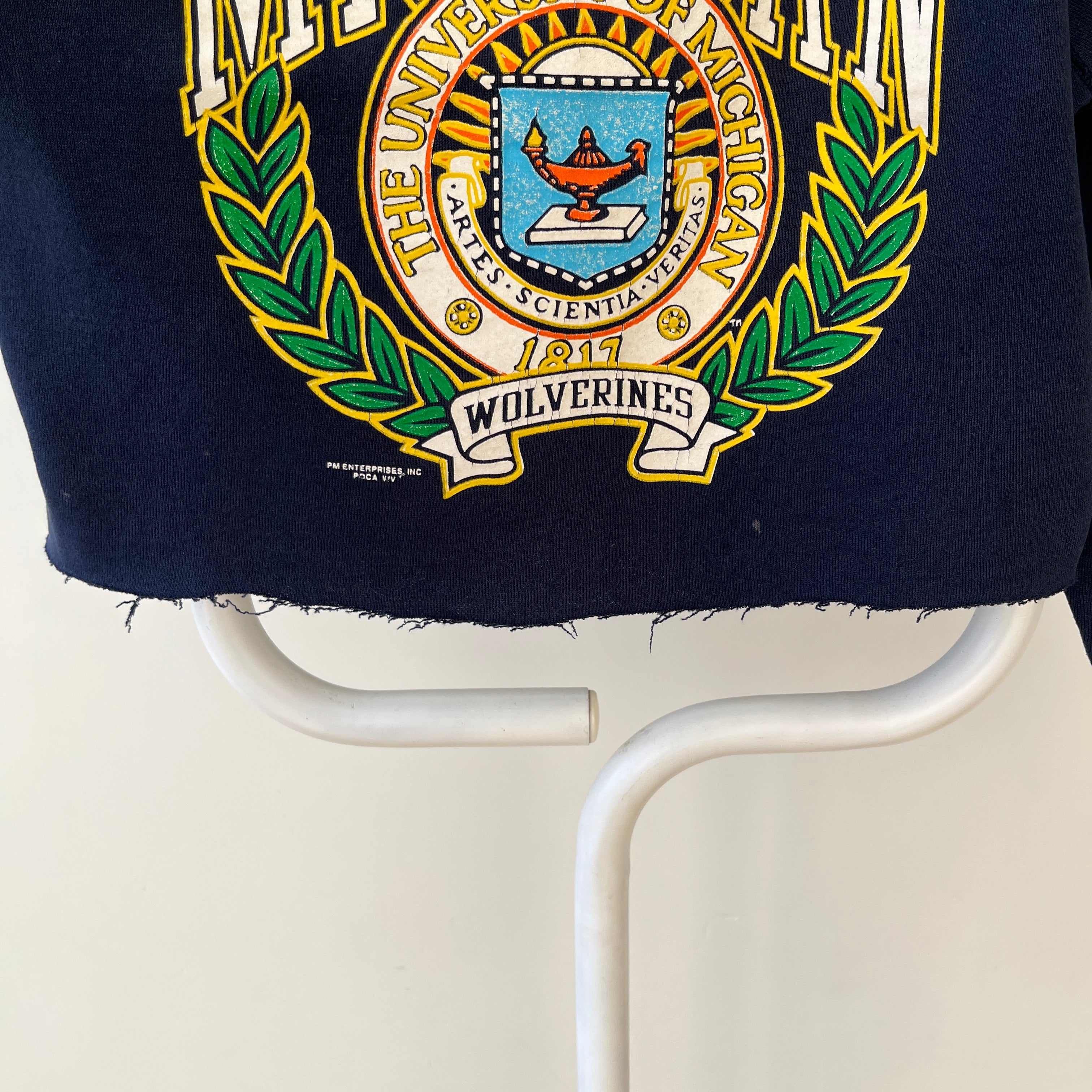 1980s/90s Michigan Wolverines DIY Cropped Raglan Sweatshirt