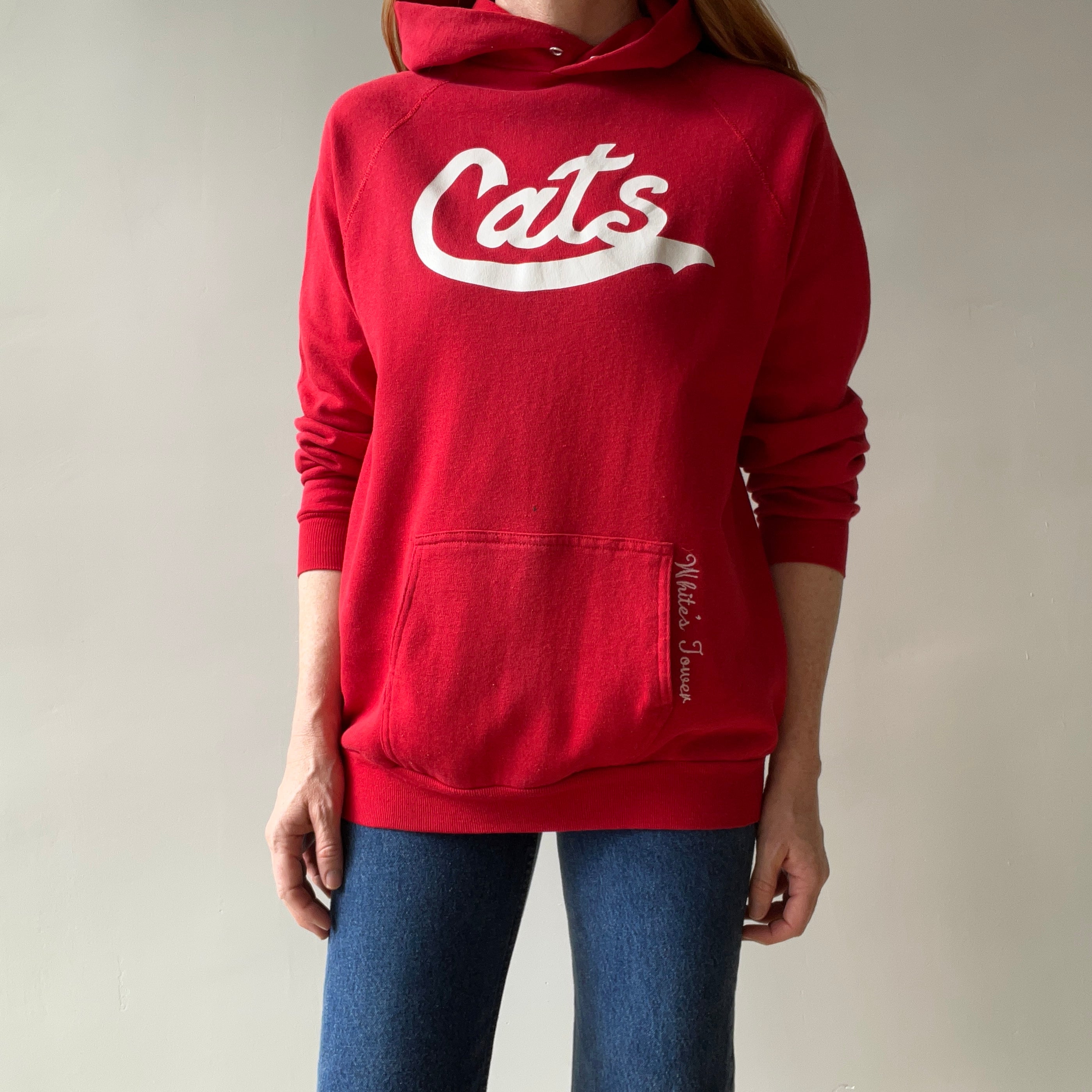 1980s Cats Pullover Hoodie