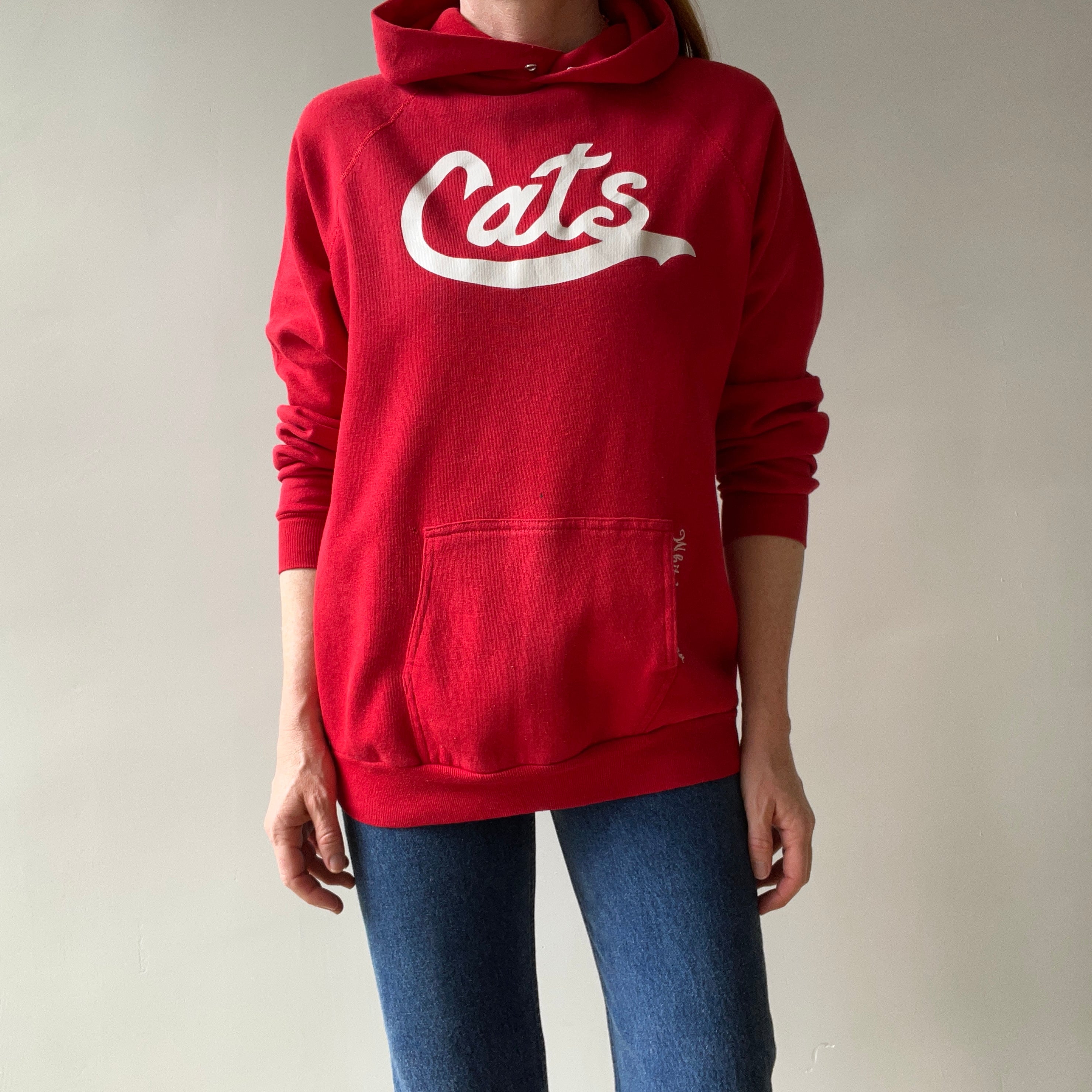 1980s Cats Pullover Hoodie