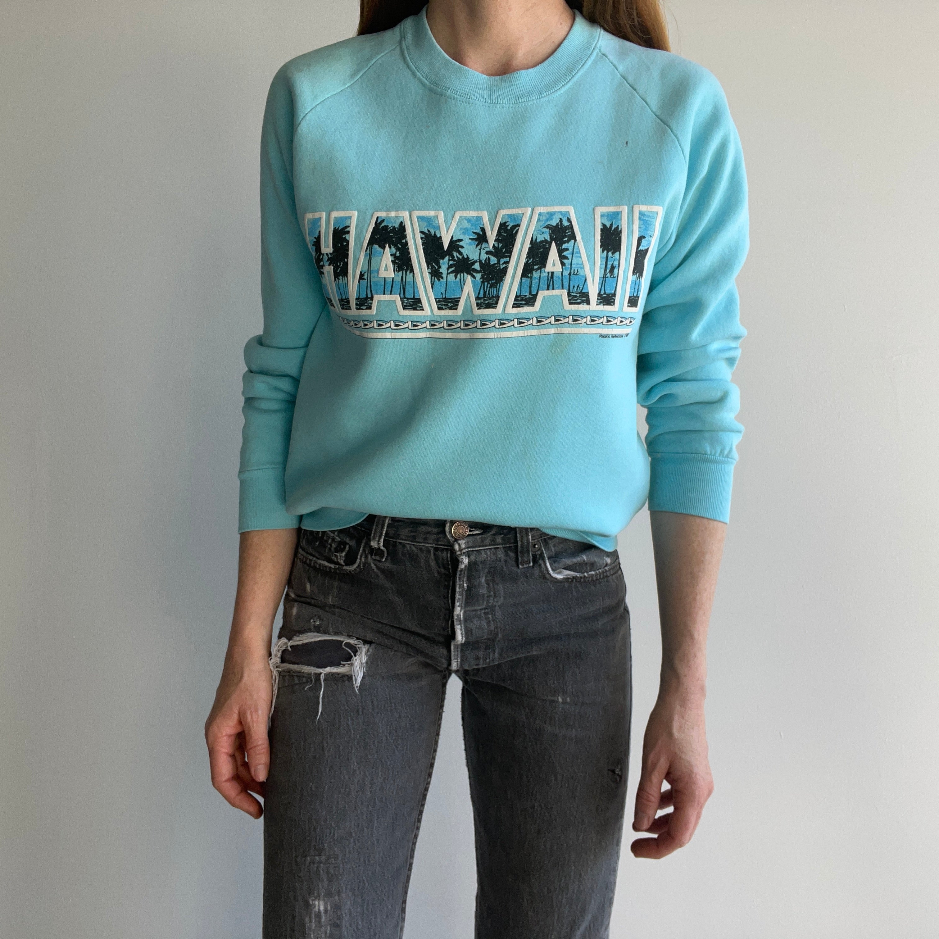 1980s Stained Hawaii Sweatshirt