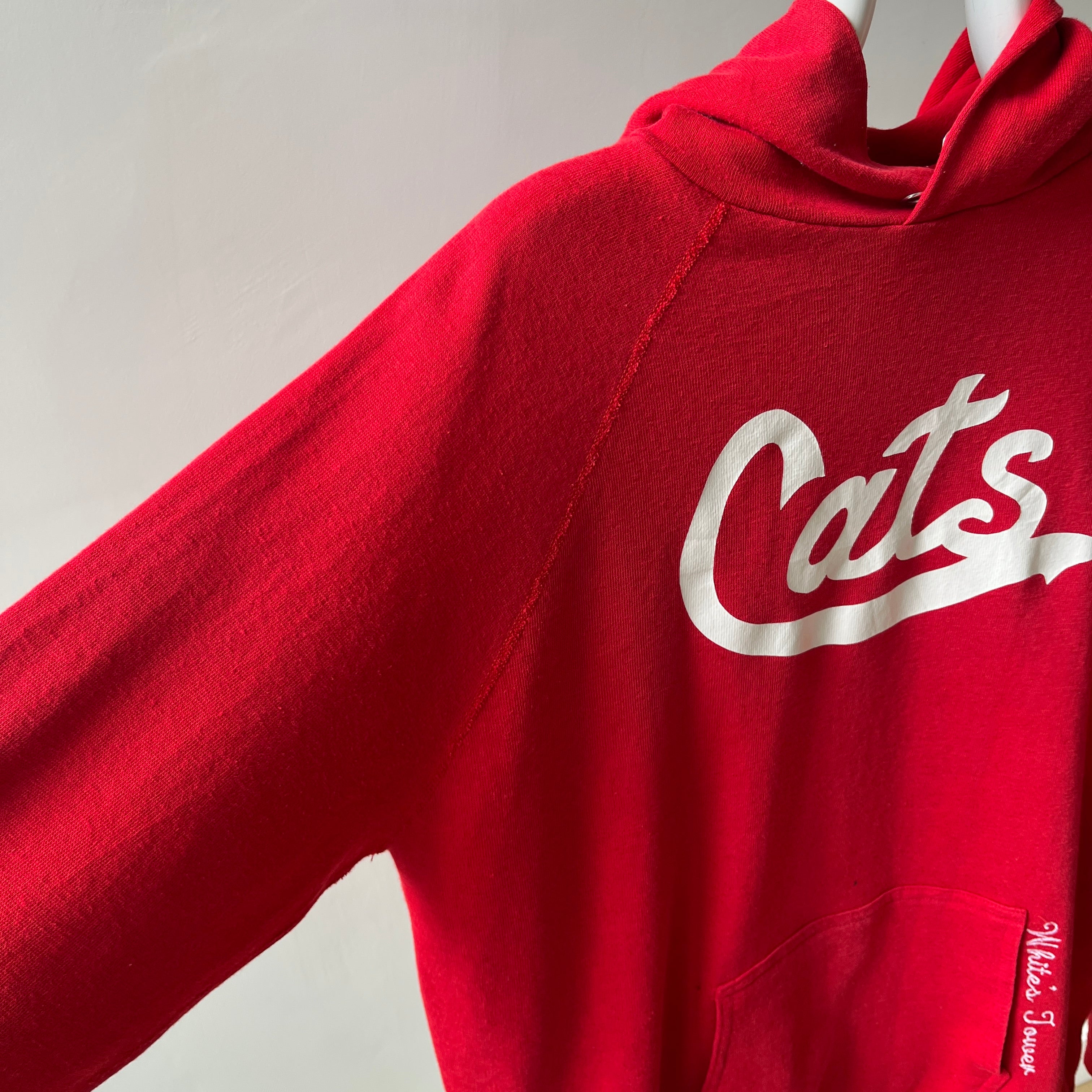 1980s Cats Pullover Hoodie