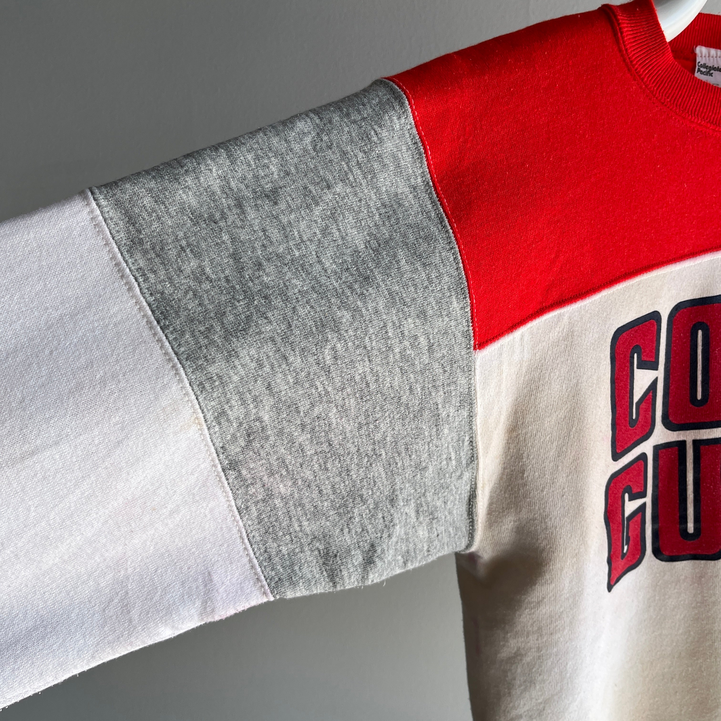 1980s Age Stained Coast Guard on a Collegiate Pacific Color Block Sweatshirt