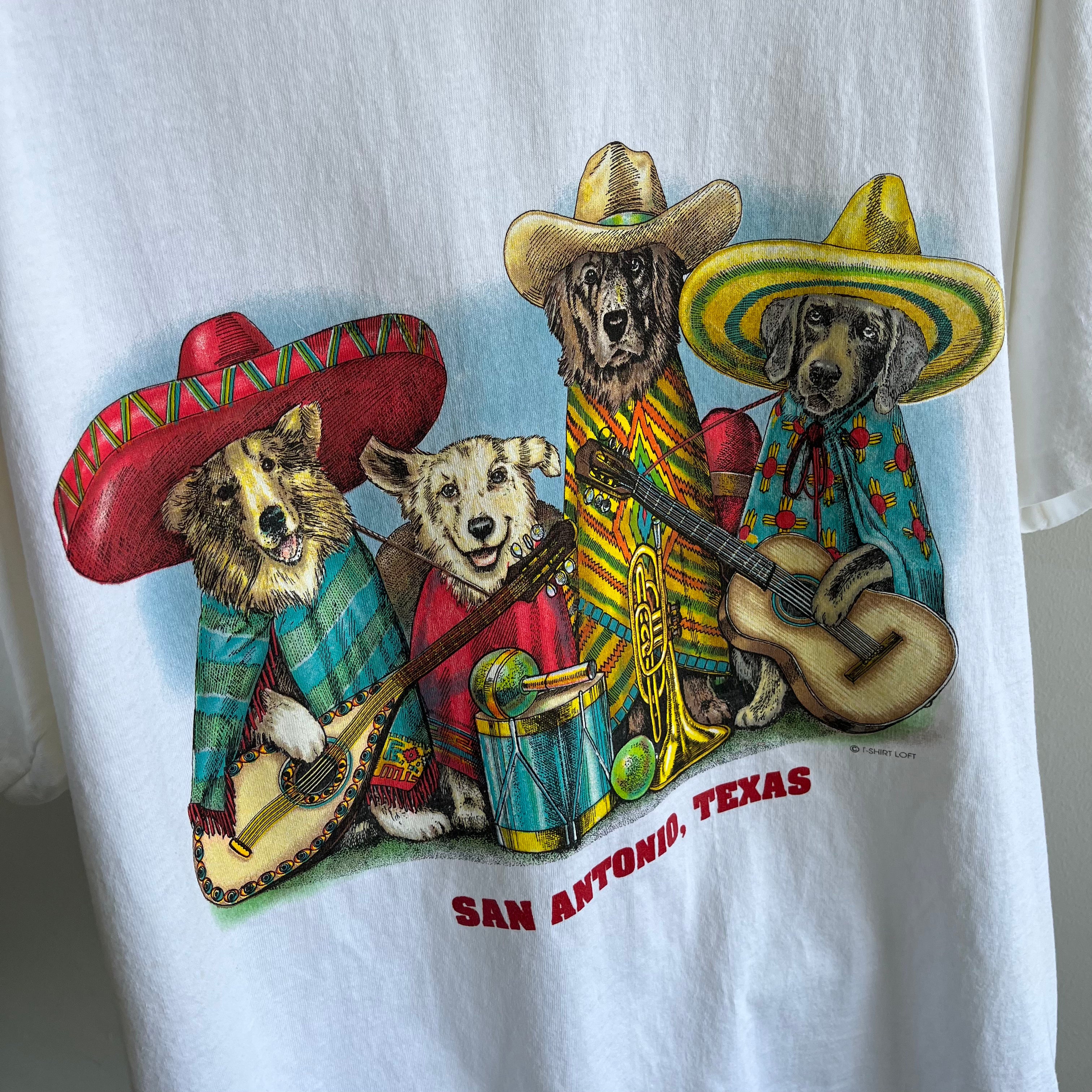 1990s San Antonio Epically Wonderful Awesome and Rad T-Shirt