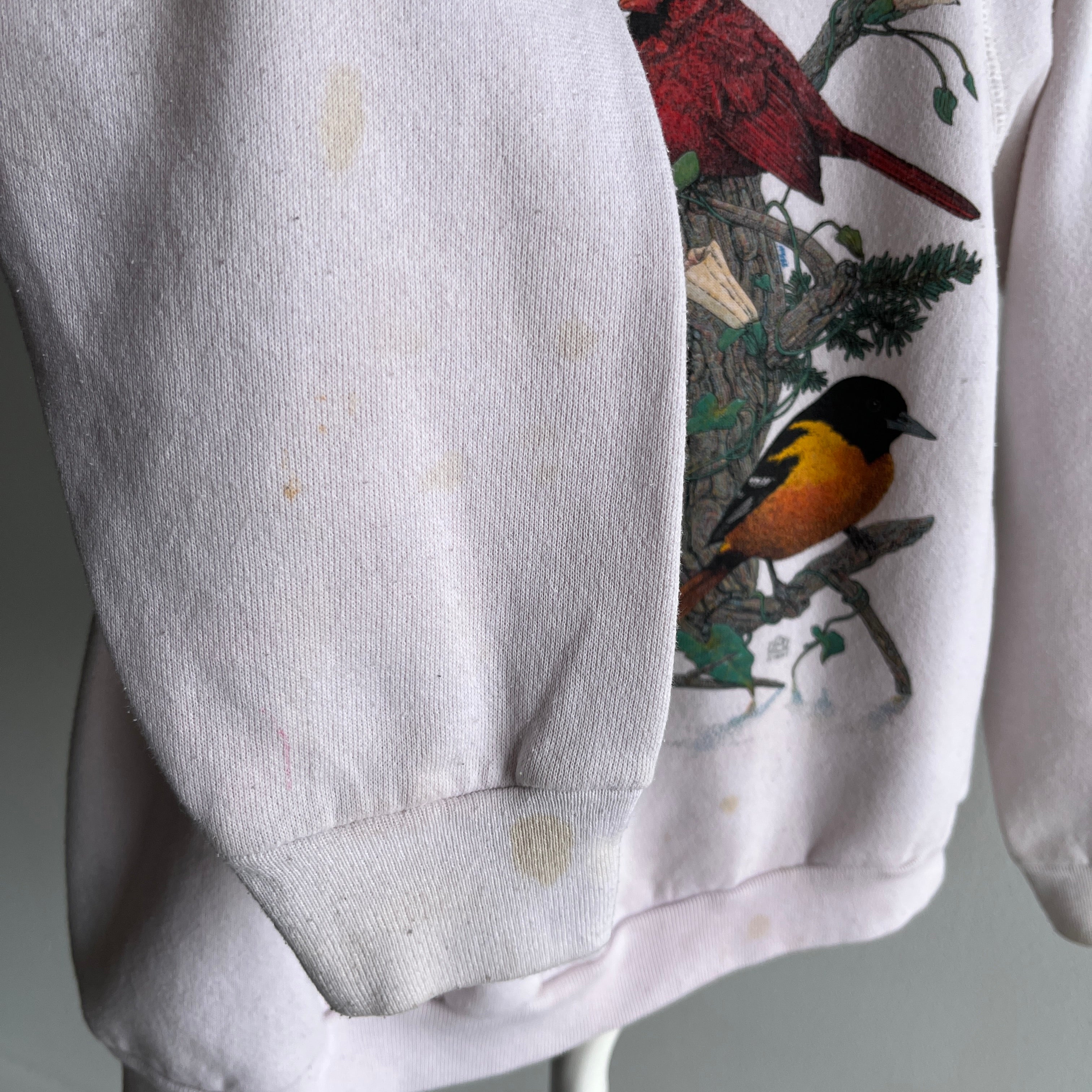 1991 Birds of America Super Duper Stained Sweatshirt