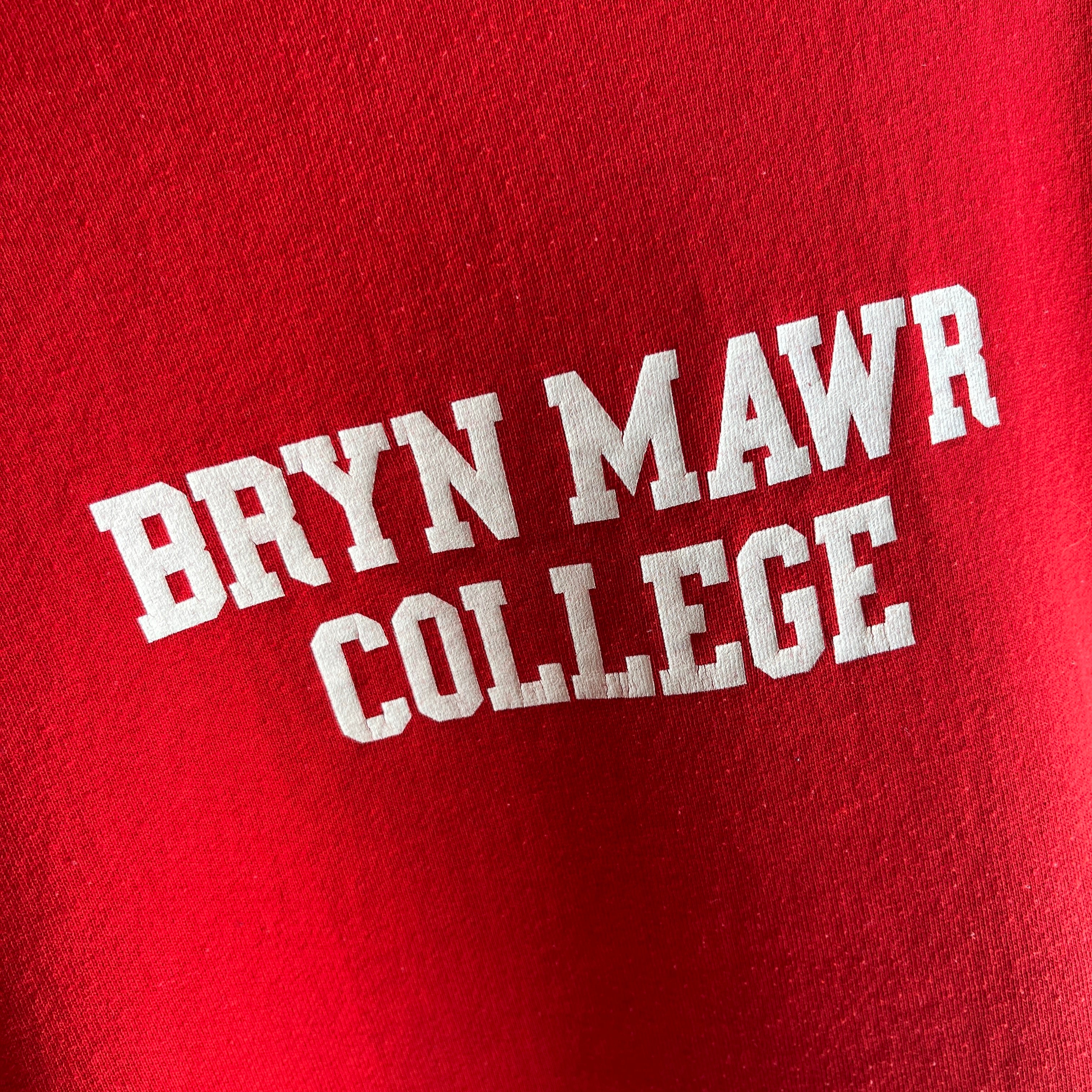 1970/80s Bryn Mawr College Hoodie By Wolf