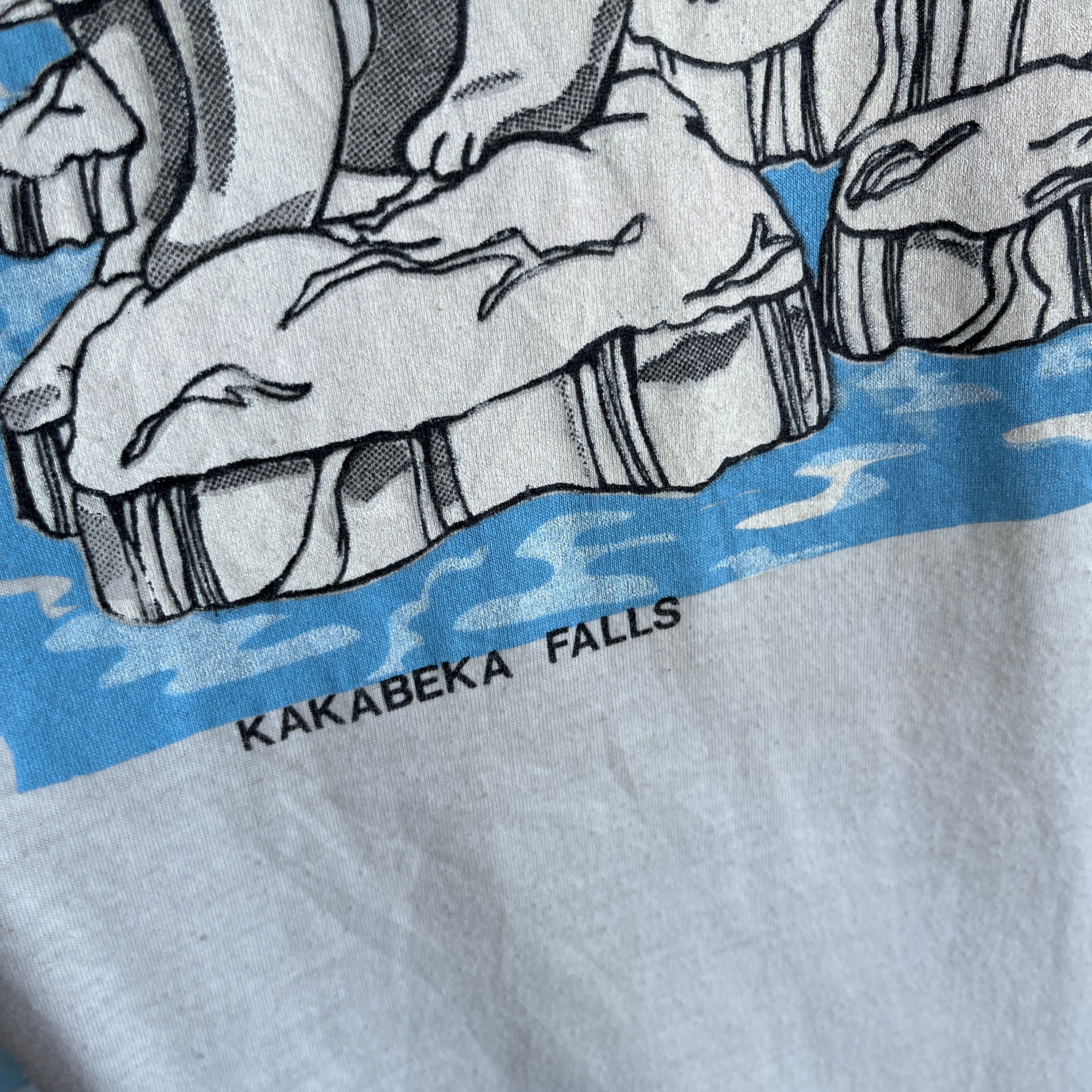 1970/80s Polar Bear Kakabeka Falls, Ontario Canada Aged Baseball T-Shirt