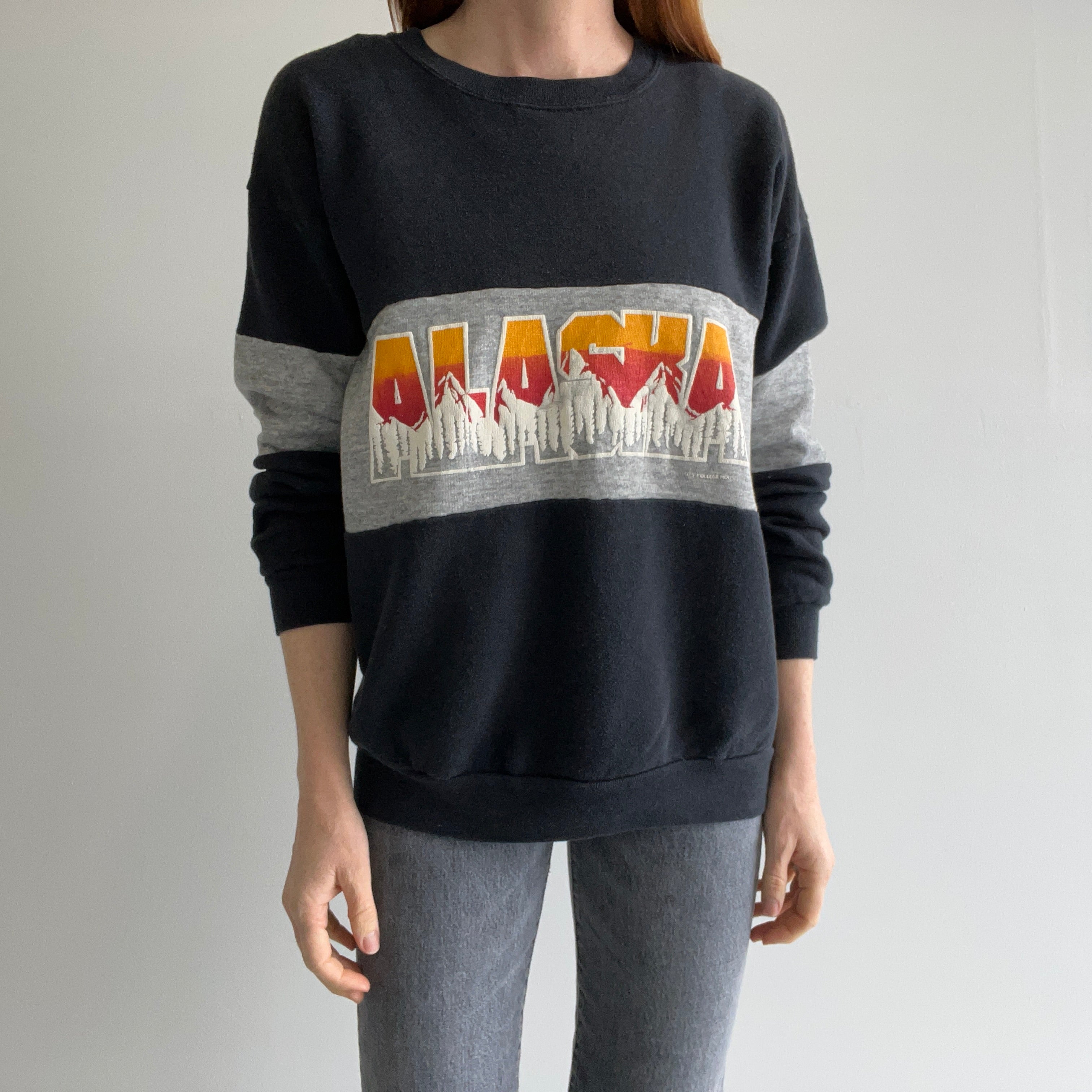 1980s Alaska Color Block Sweatshirt - Yes Please