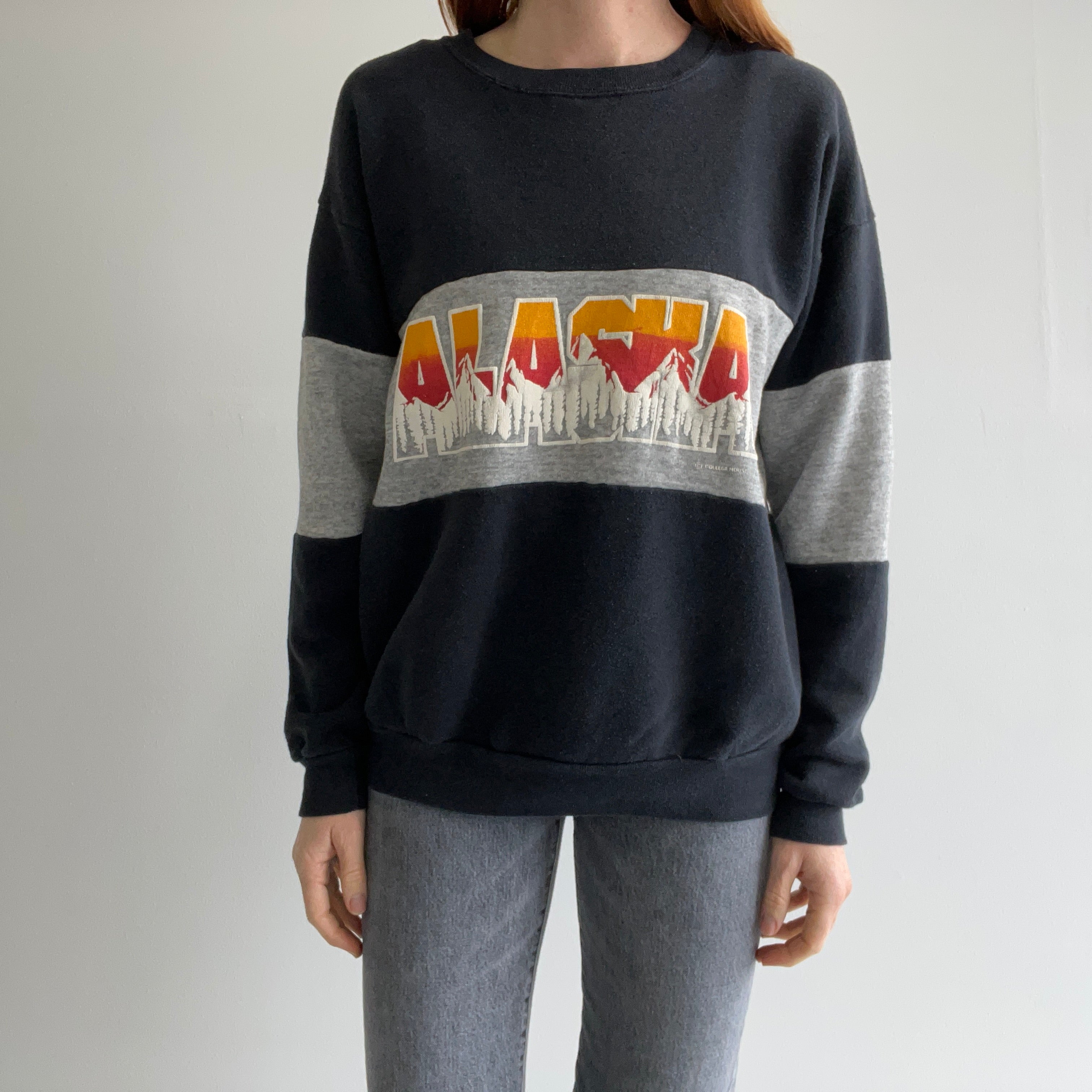 1980s Alaska Color Block Sweatshirt - Yes Please