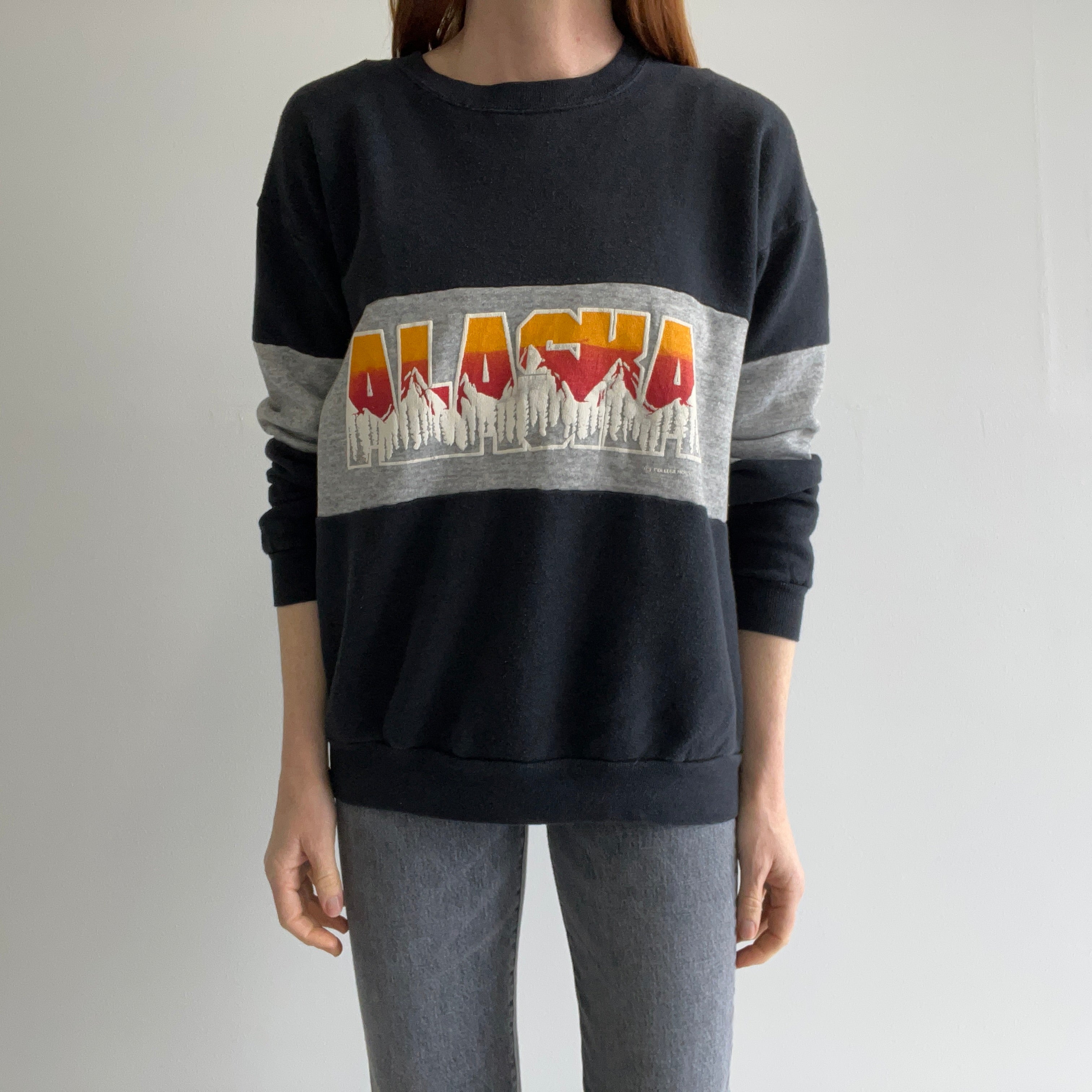 1980s Alaska Color Block Sweatshirt - Yes Please