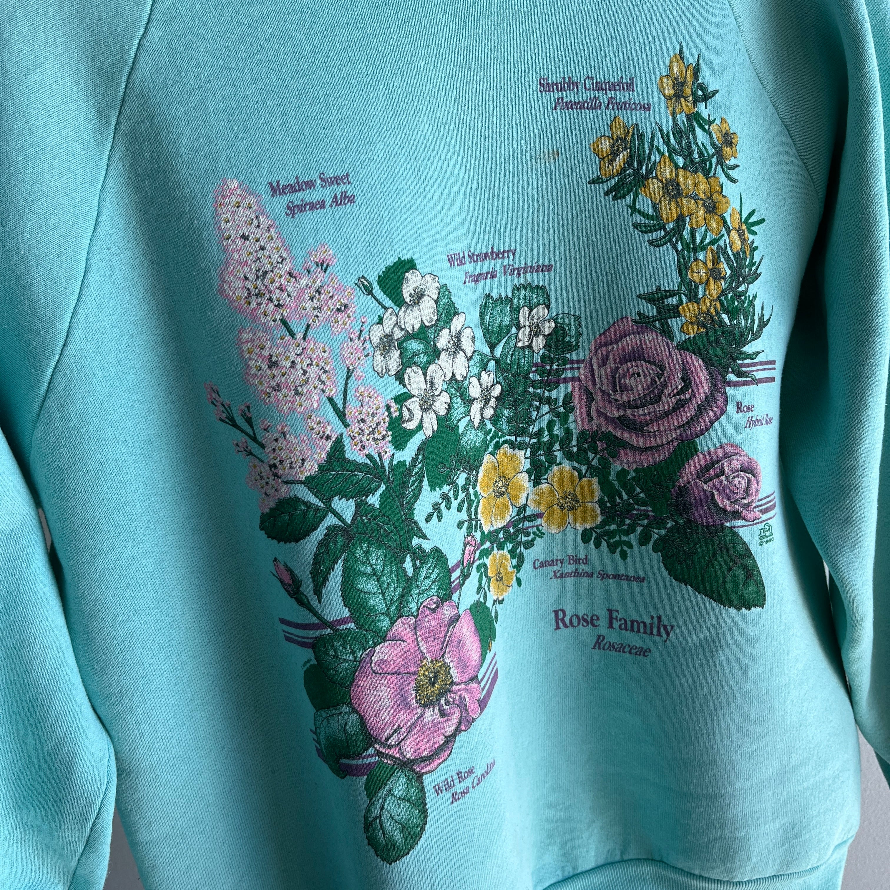 1990 The Rose Family Sweatshirt with Staining
