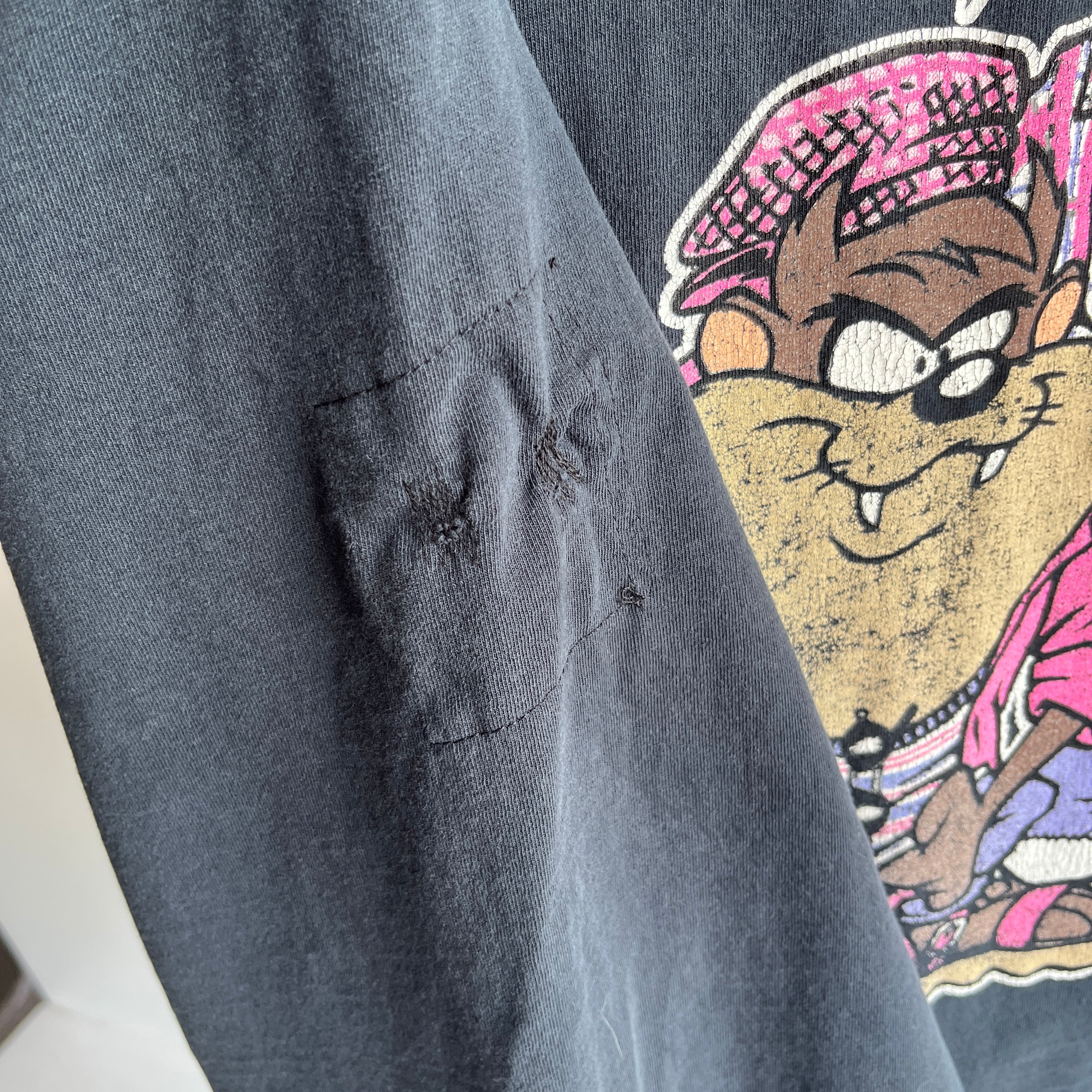 1990s Buggs Bunny, Taz(manian) Devil and Sylvester Warner Bros Mended Epic T-Shirt