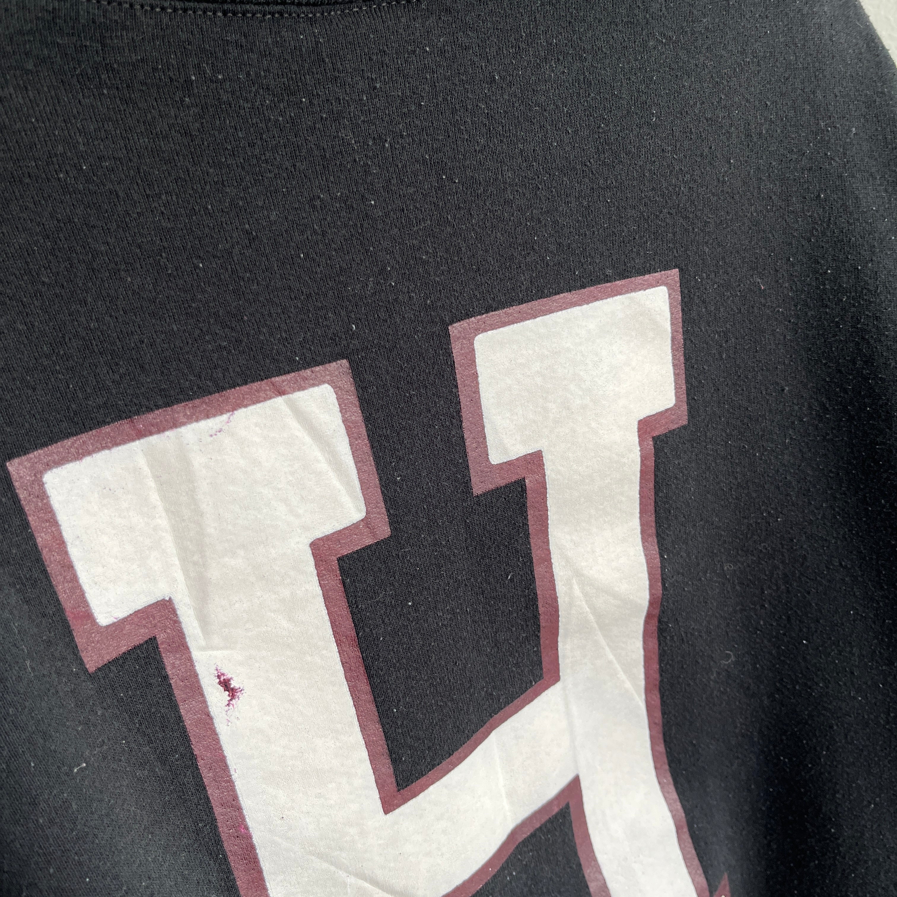 1990s Harvard Swimming and Diving Sweatshirt by Russell