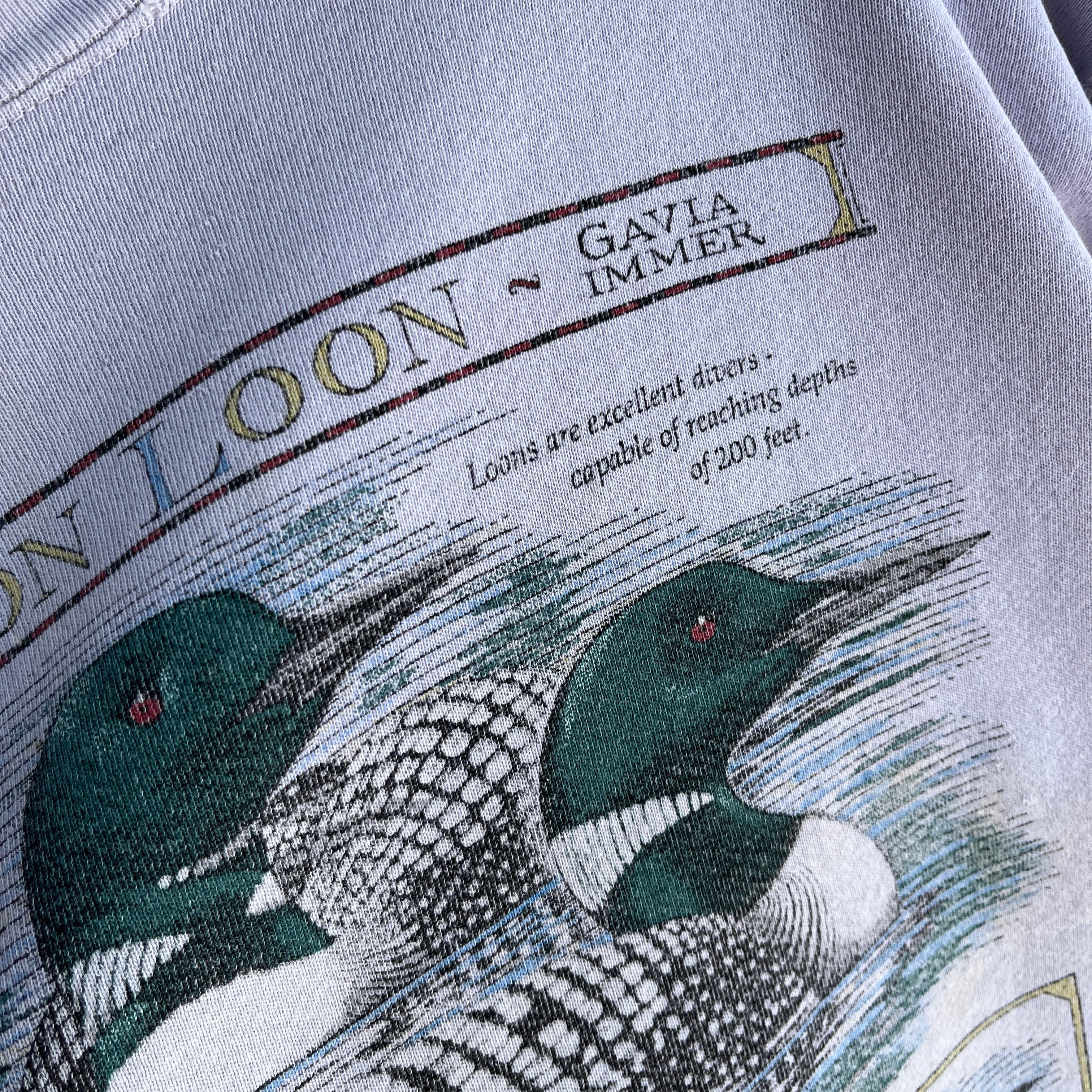 1980/90s Mostly Cotton Totally Destroyed Loon Sweatshirt