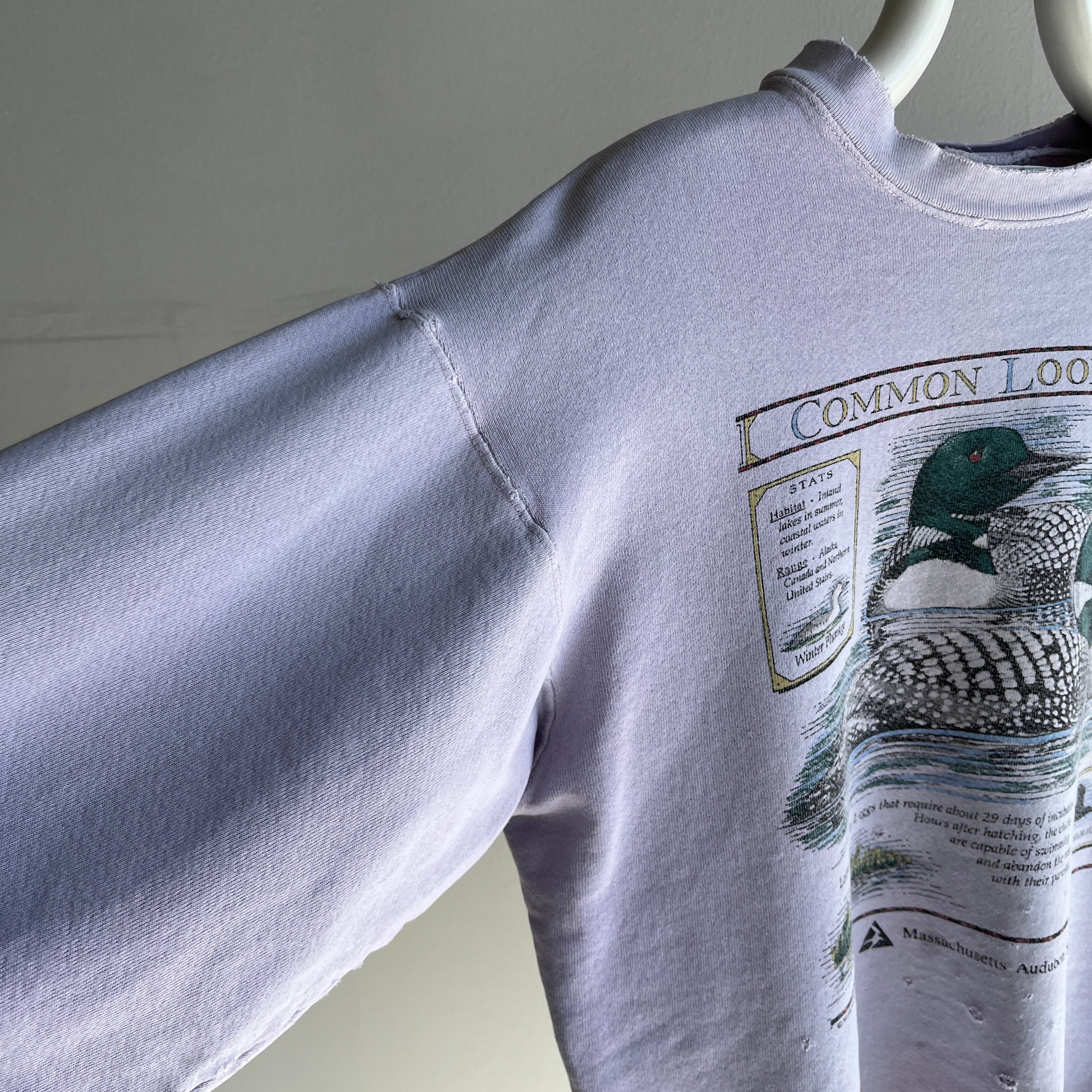 1980/90s Mostly Cotton Totally Destroyed Loon Sweatshirt