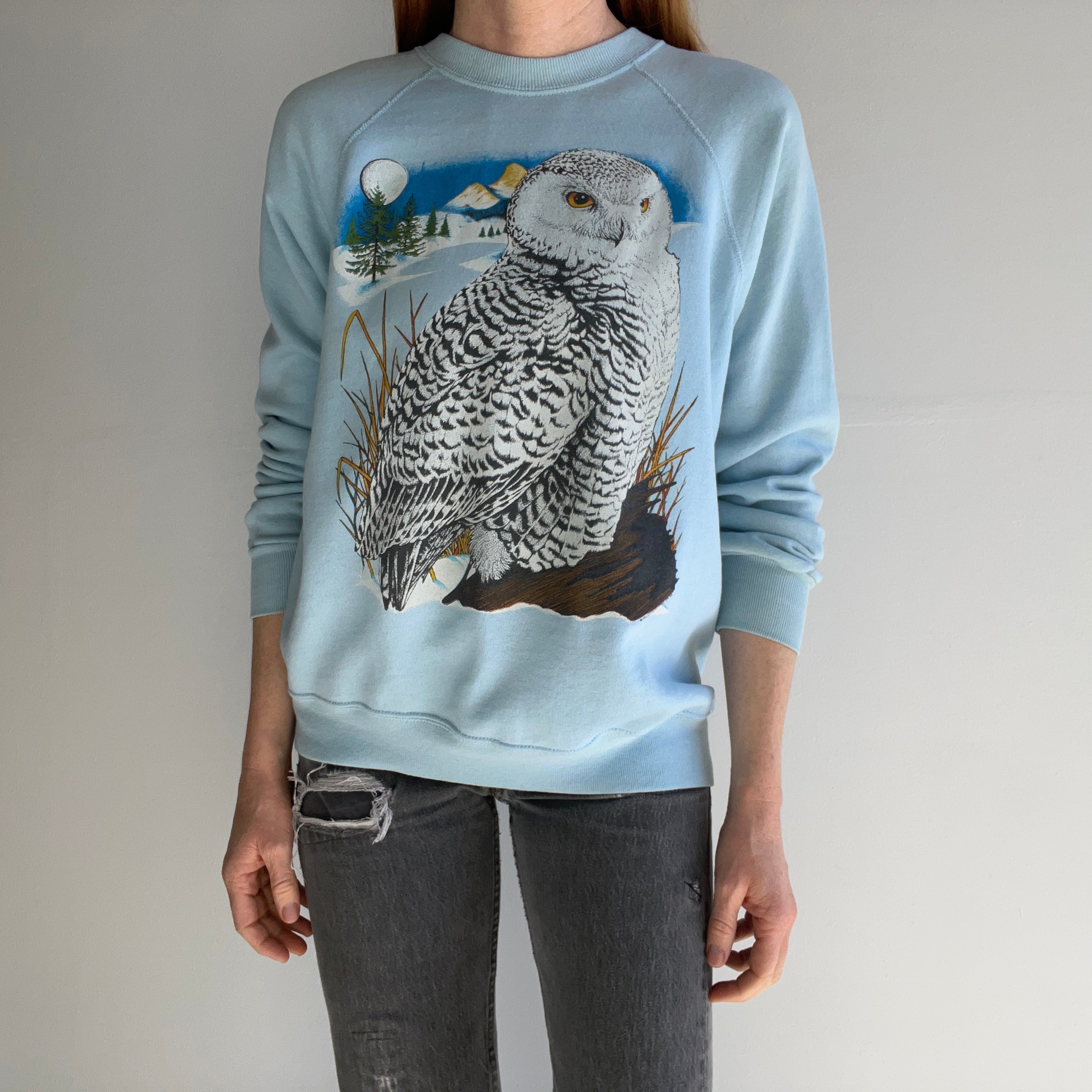 1980s Thinned Out Owl Sweatshirt by Bassett Walker