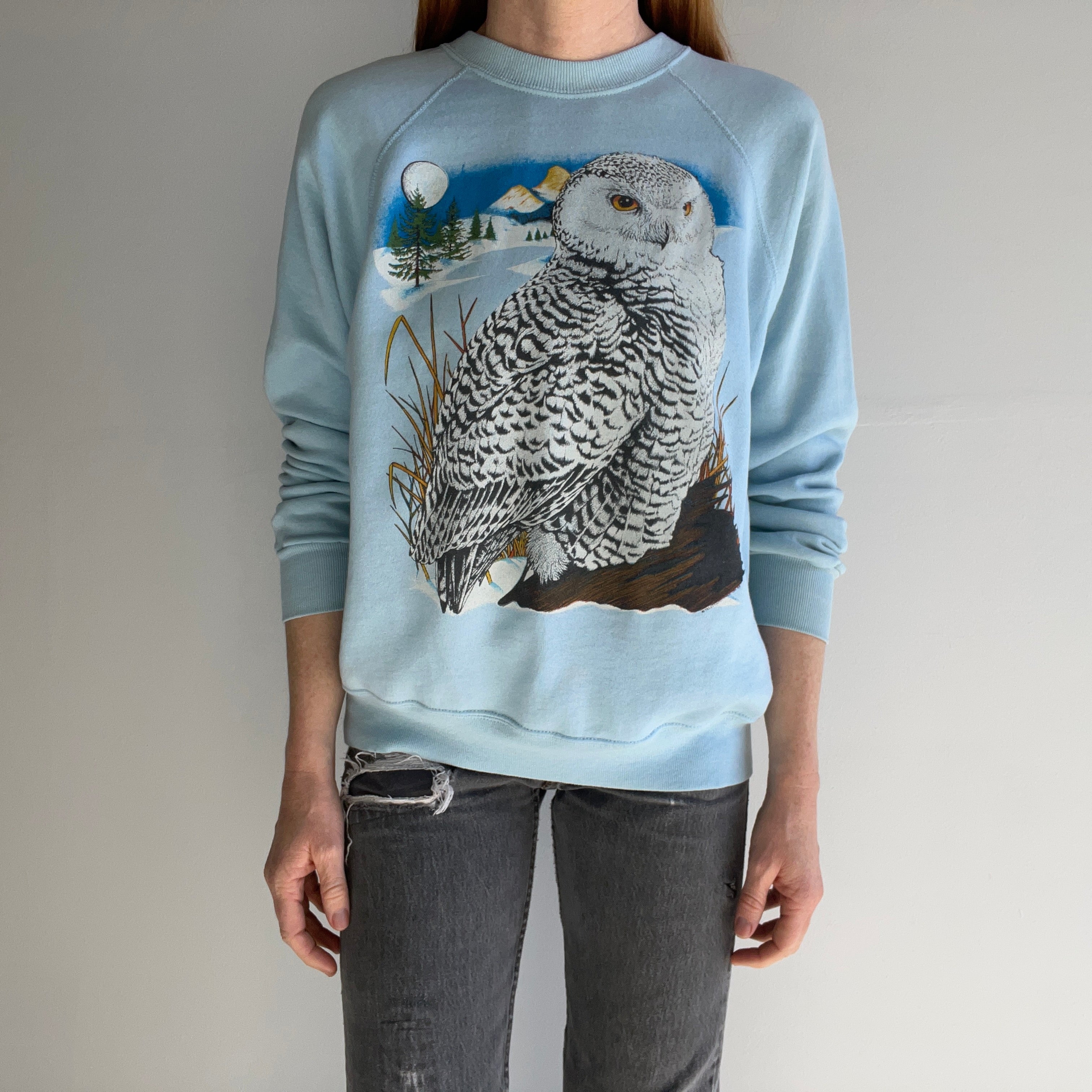 1980s Thinned Out Owl Sweatshirt by Bassett Walker