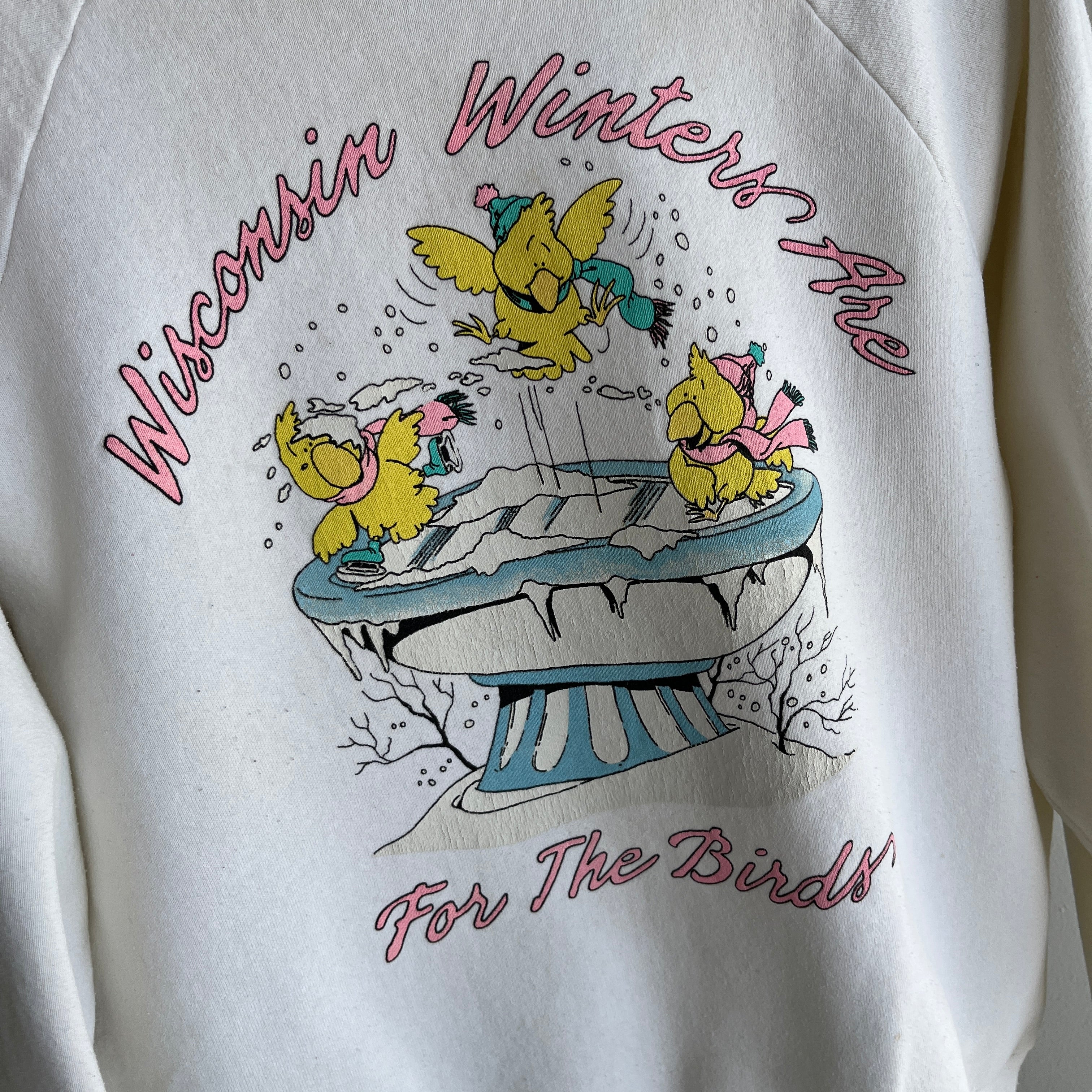 1980s Wisconsin Winters are for the Birds Sweatshirt