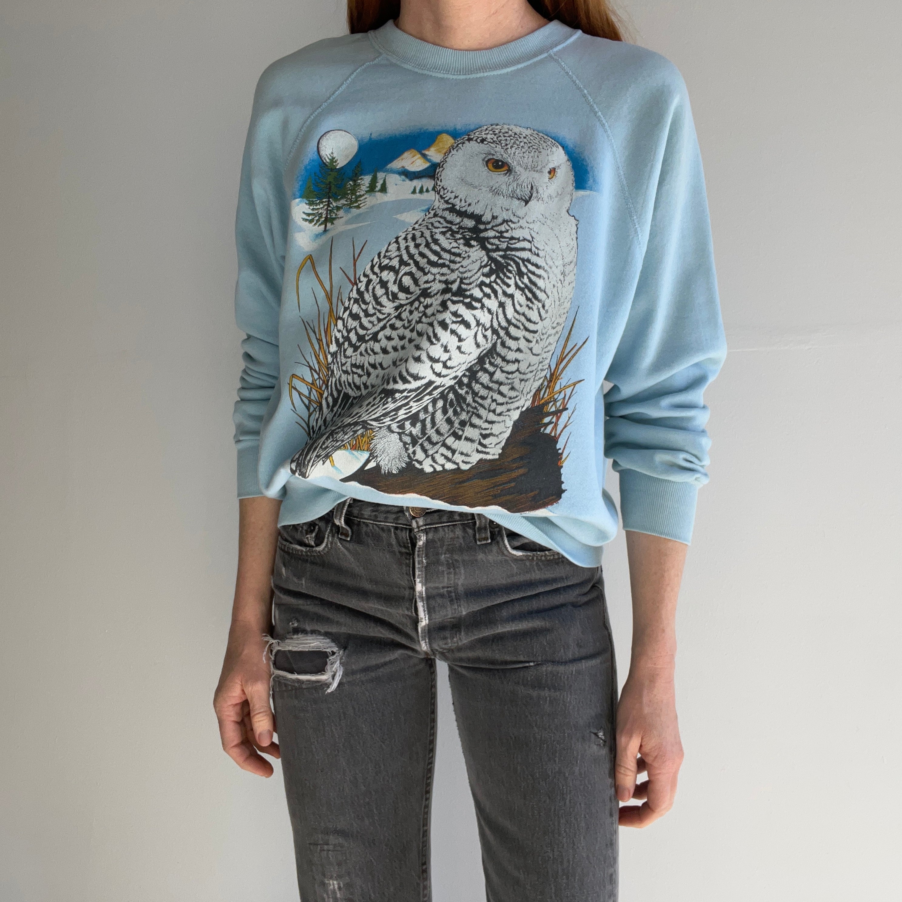 1980s Thinned Out Owl Sweatshirt by Bassett Walker