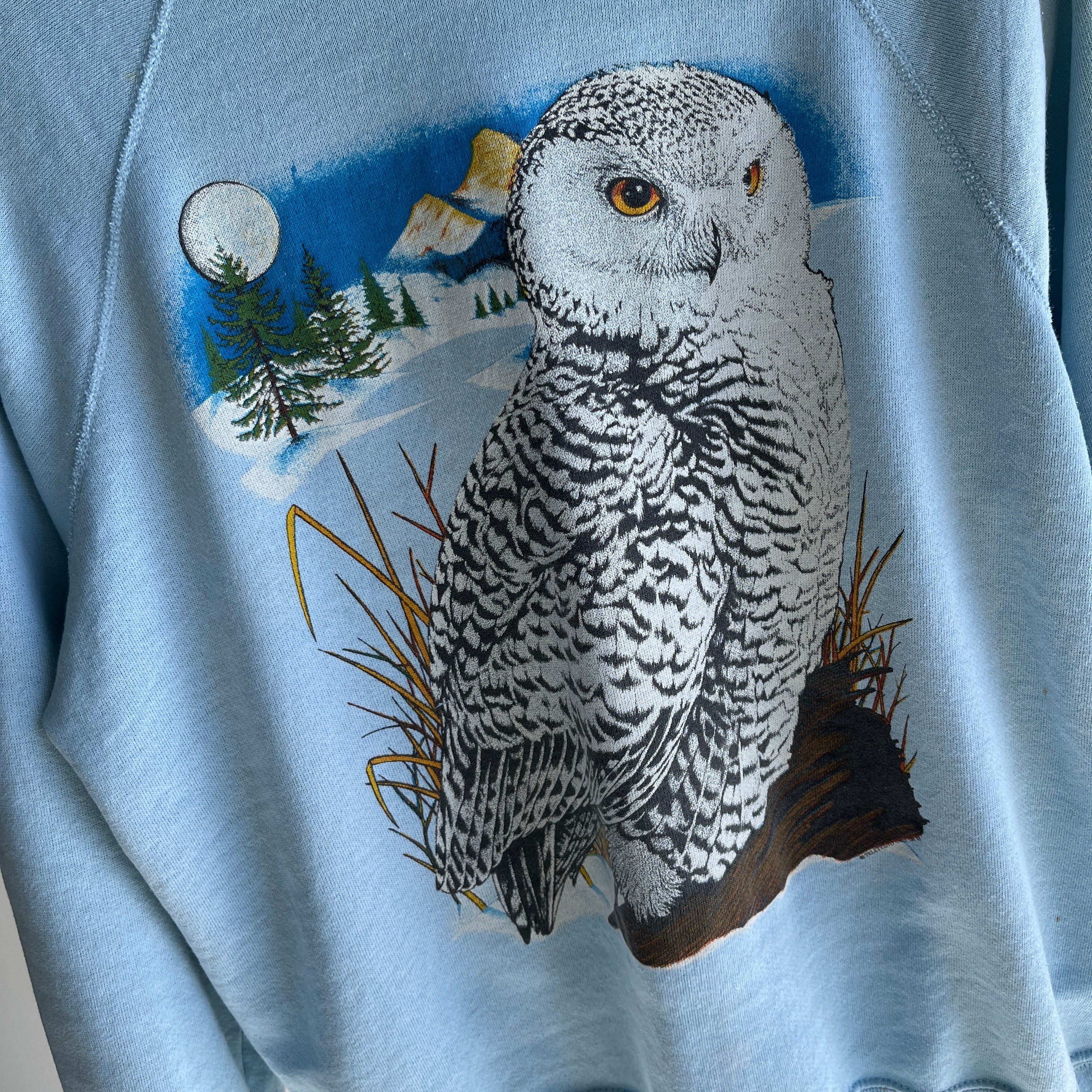 1980s Thinned Out Owl Sweatshirt by Bassett Walker