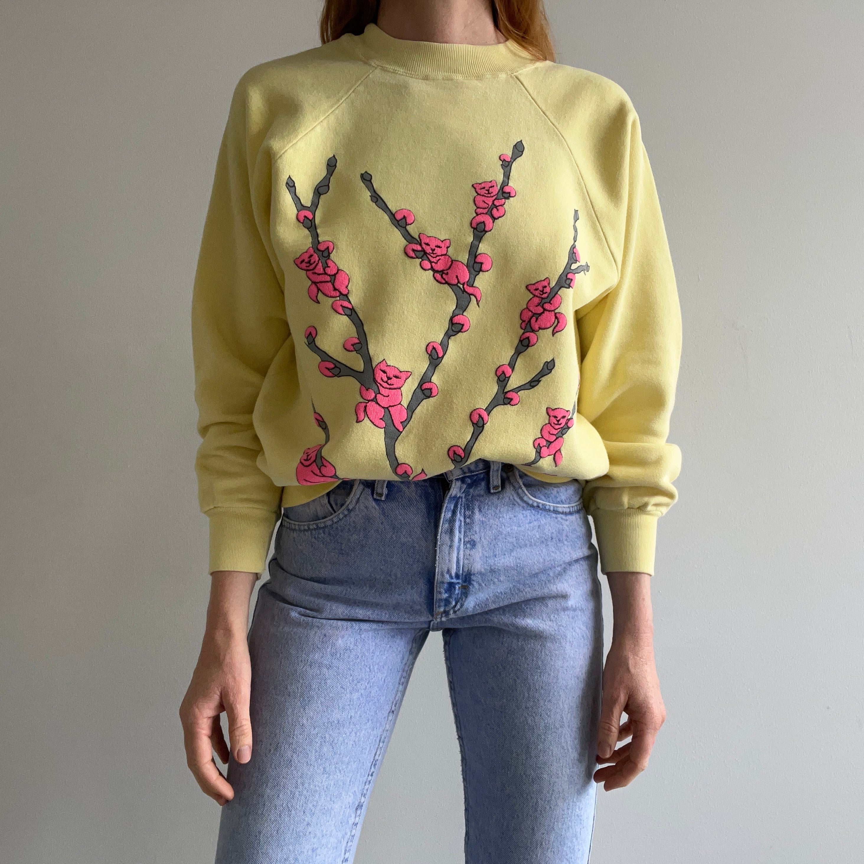 1980s Pussy Willows - But, Literally - Sweatshirt - WOW