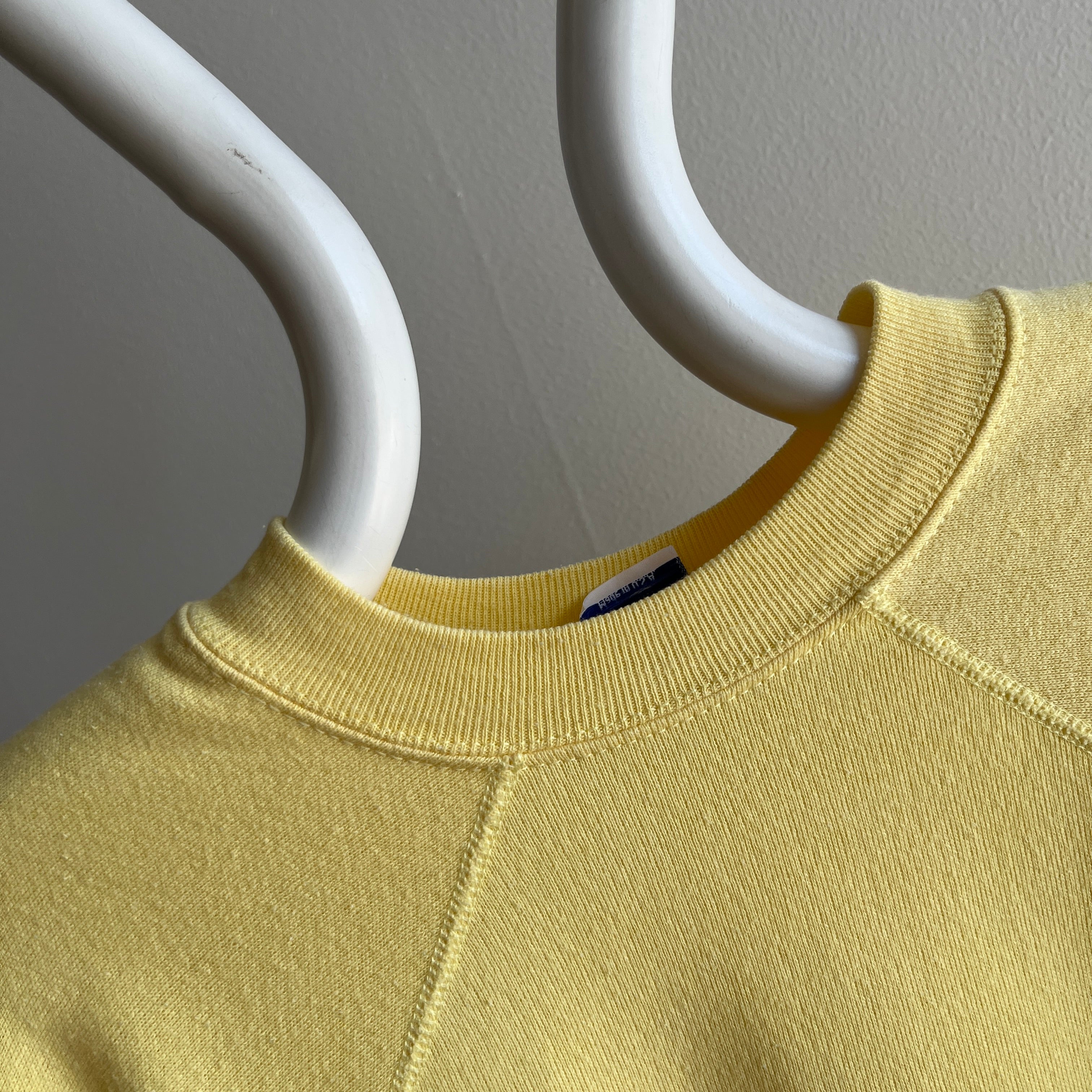 1980s Soft and Cozy Pale Sunshine Sweatshirt by Pannill