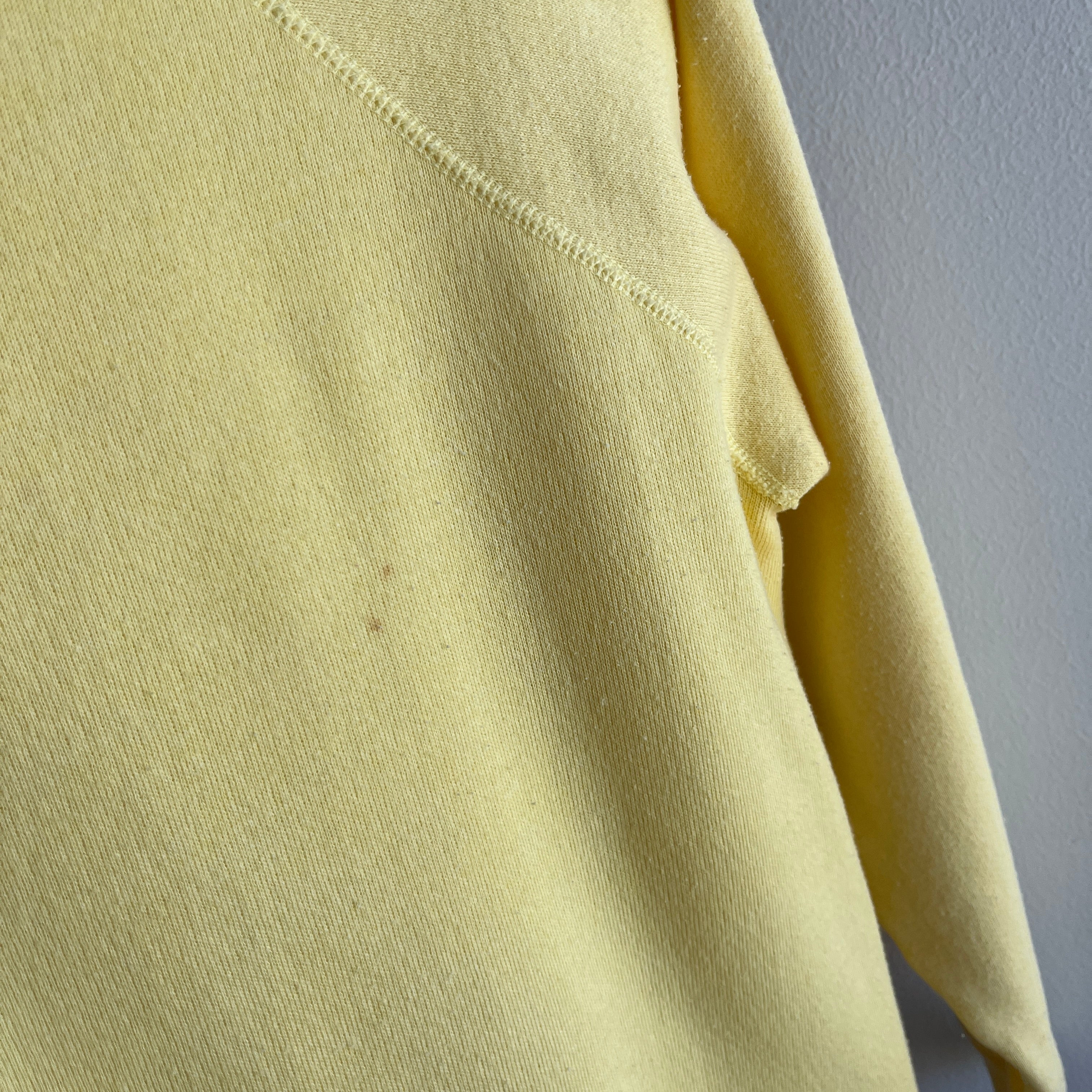 1980s Soft and Cozy Pale Sunshine Sweatshirt by Pannill