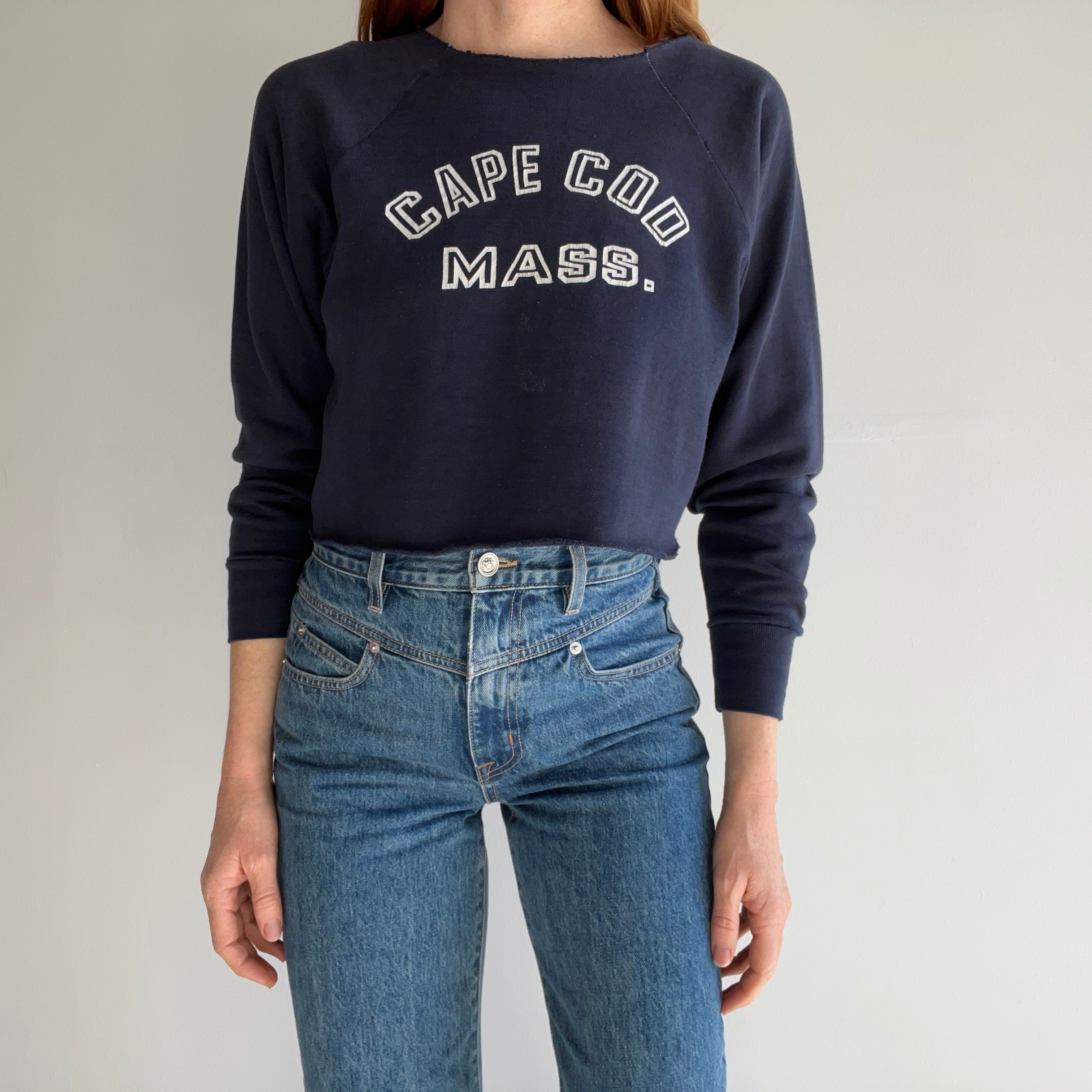 1970s Sun Faded Cape Cod DIY Crop Top Sweatshirt