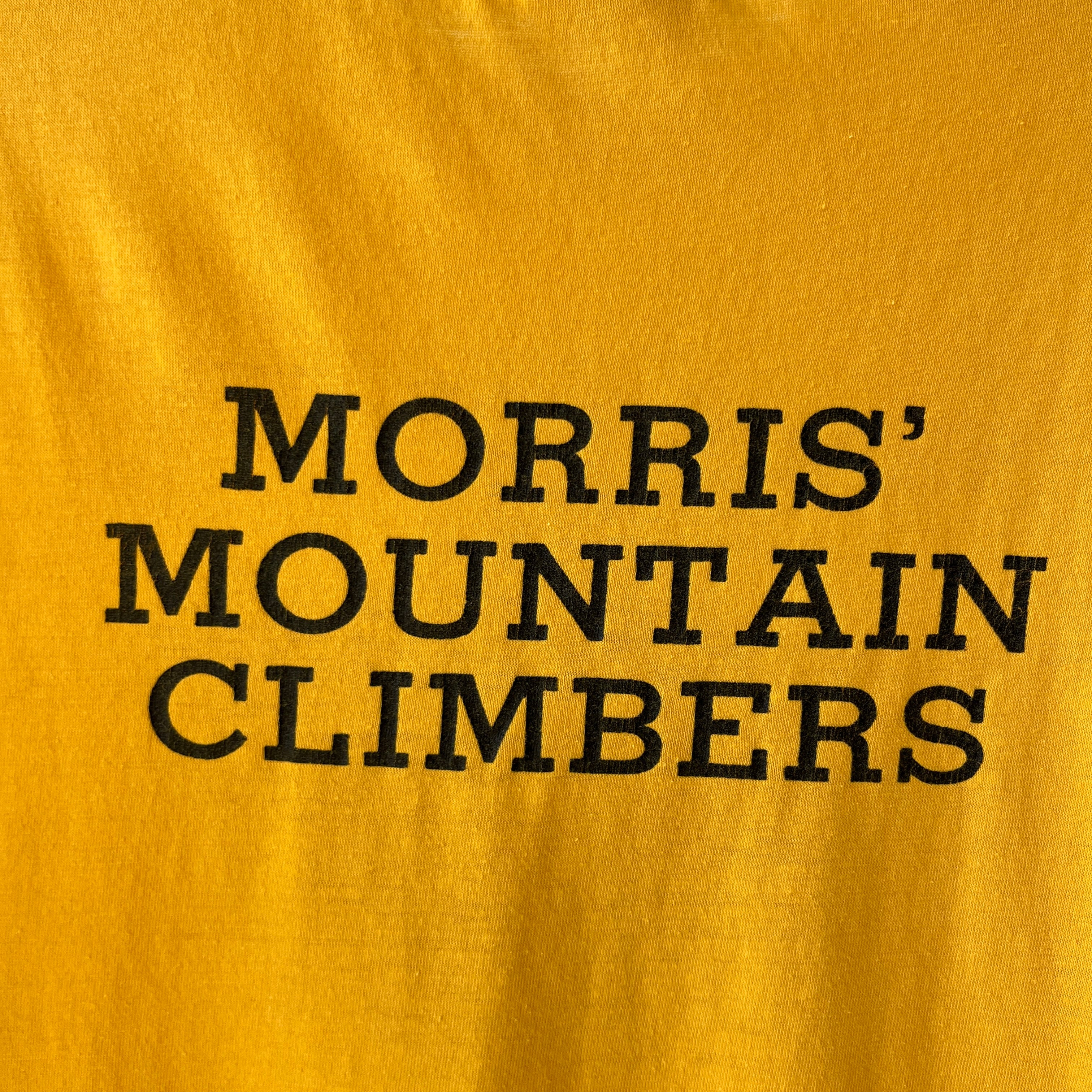 1980s Reach For The Top A.J. Williams T Shirt - Backside Too