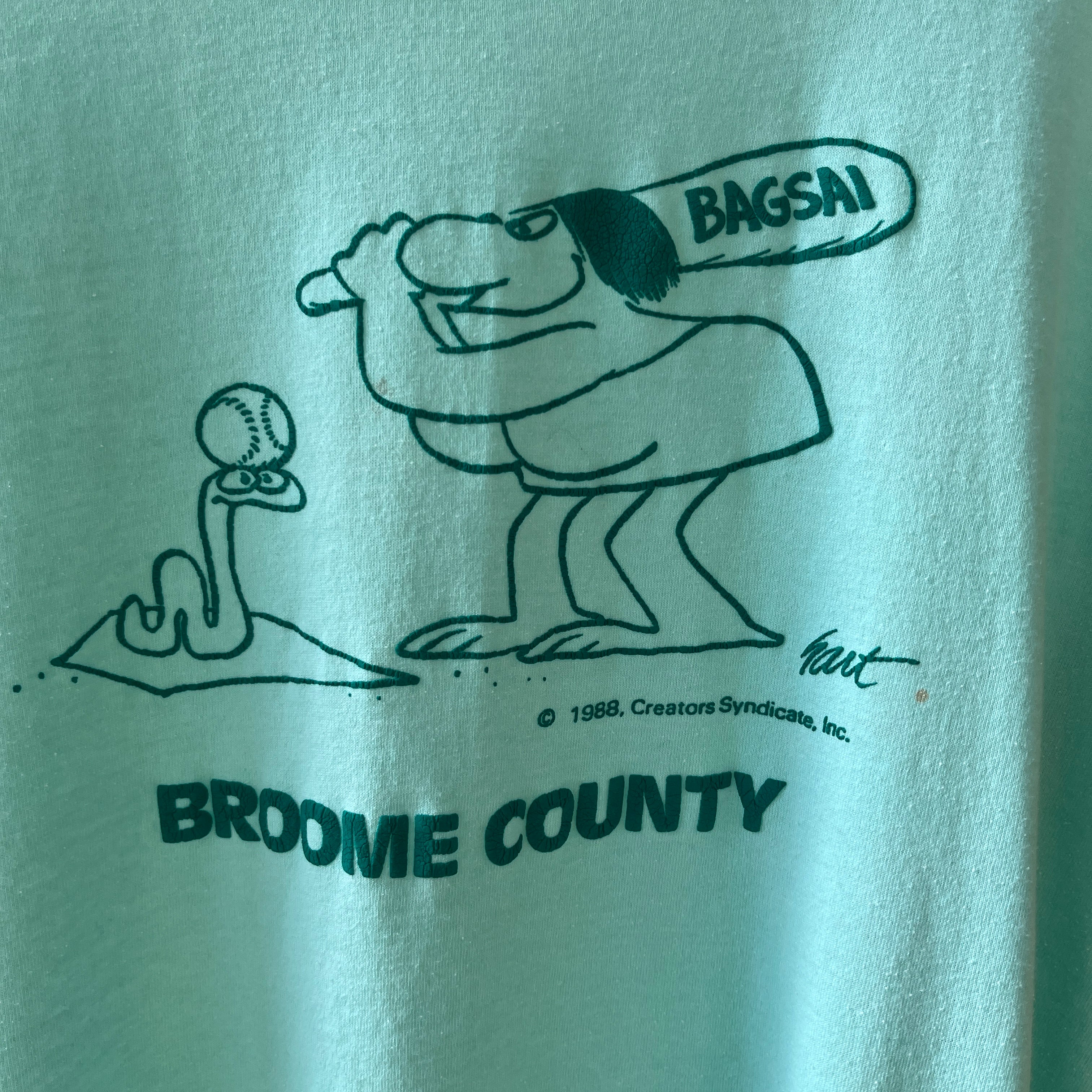 1988 BAGSAI Broome County Softball T Shirt