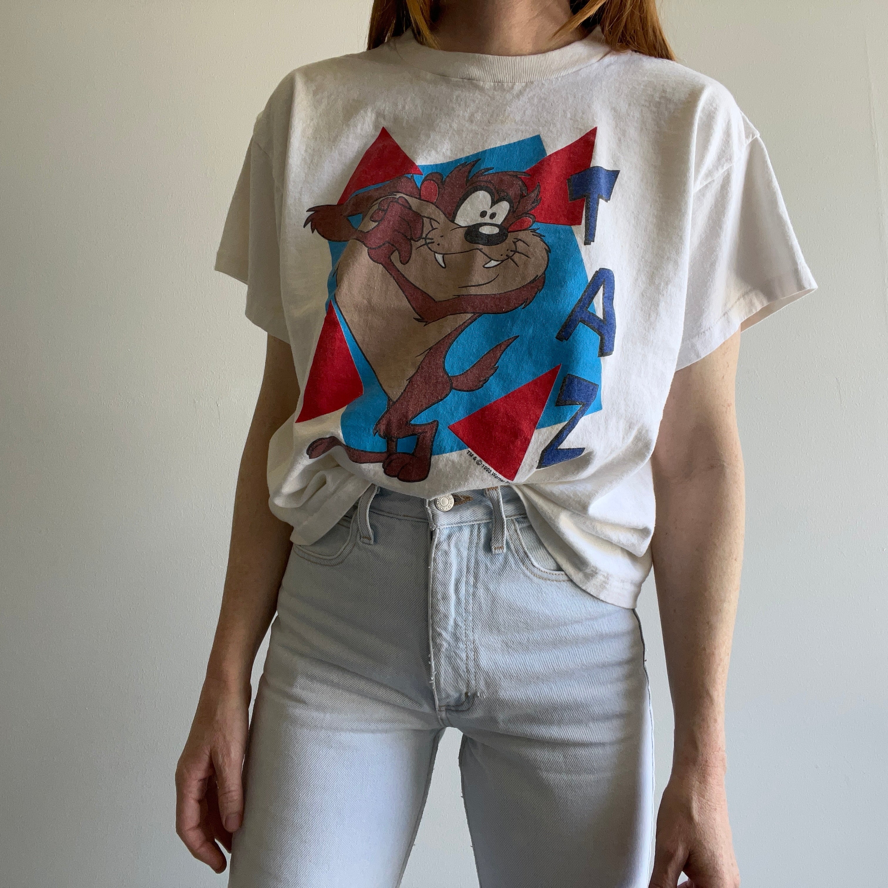 1993 Boxy Taz de Looney Toons T-shirt délicieux