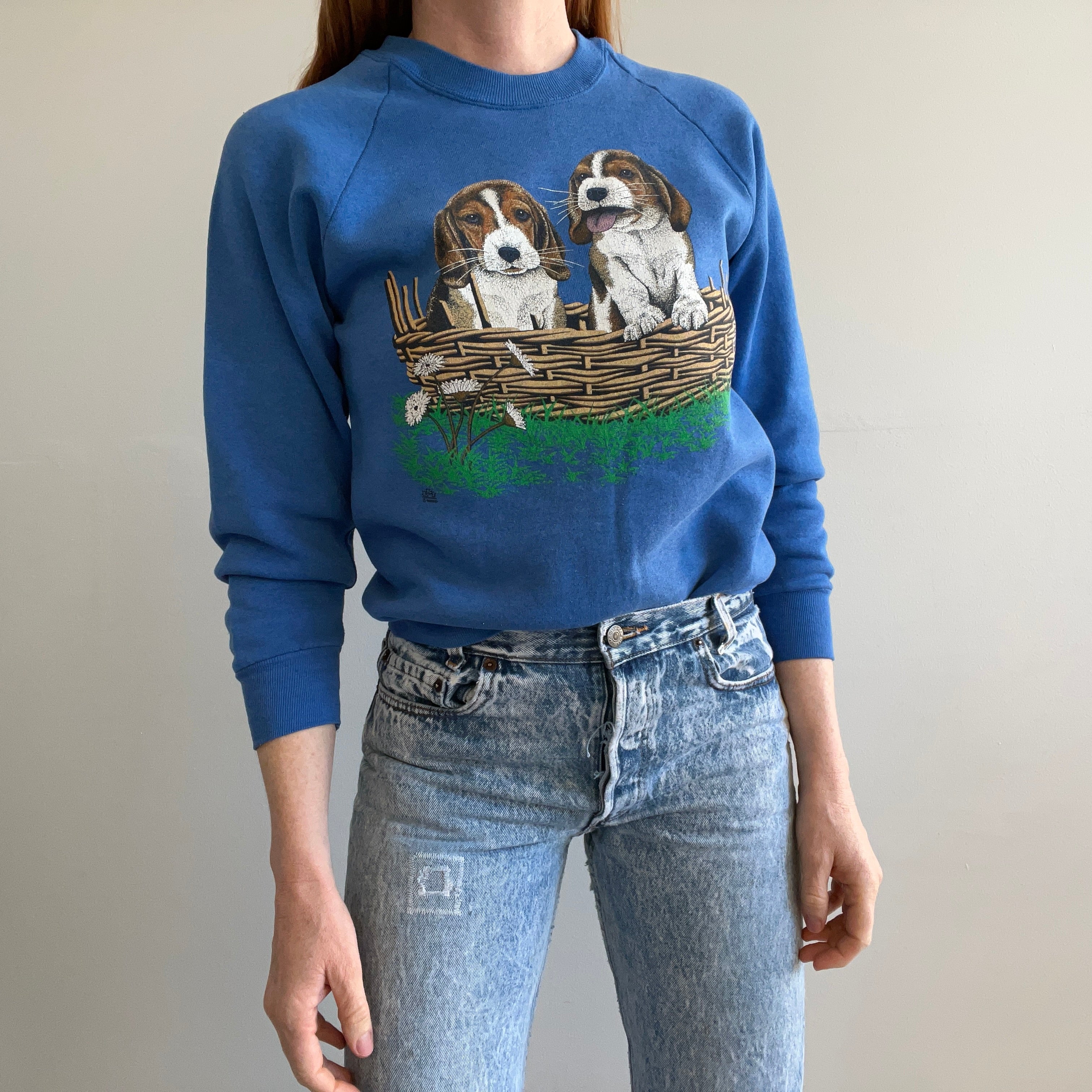 1989 Sweat-shirt Deux chiots Beagle dans un panier