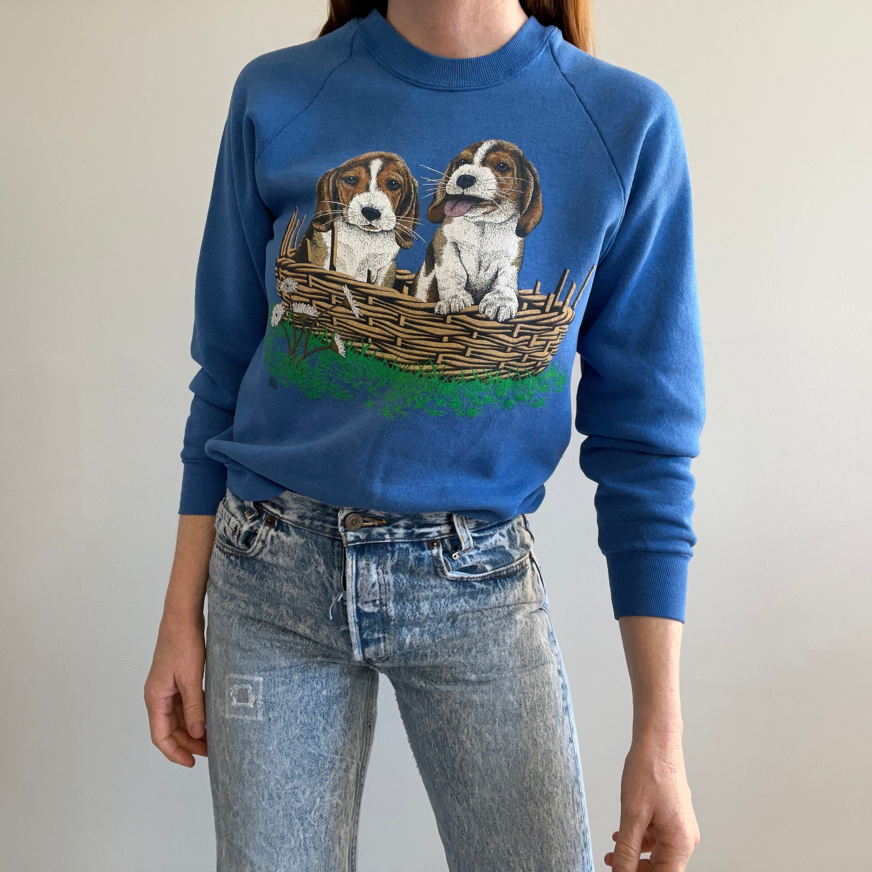 1989 Sweat-shirt Deux chiots Beagle dans un panier